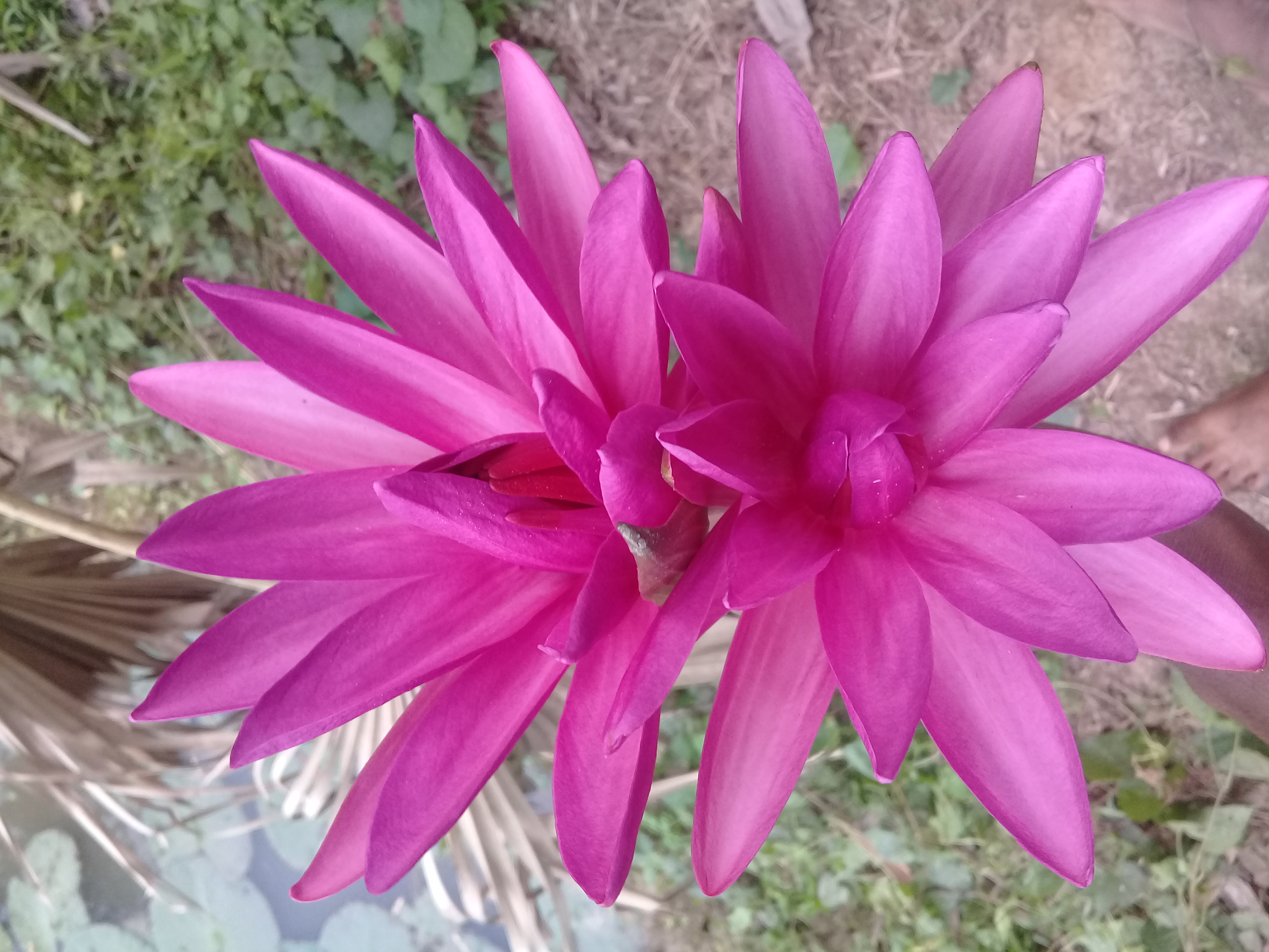 20220418_090600.jpg