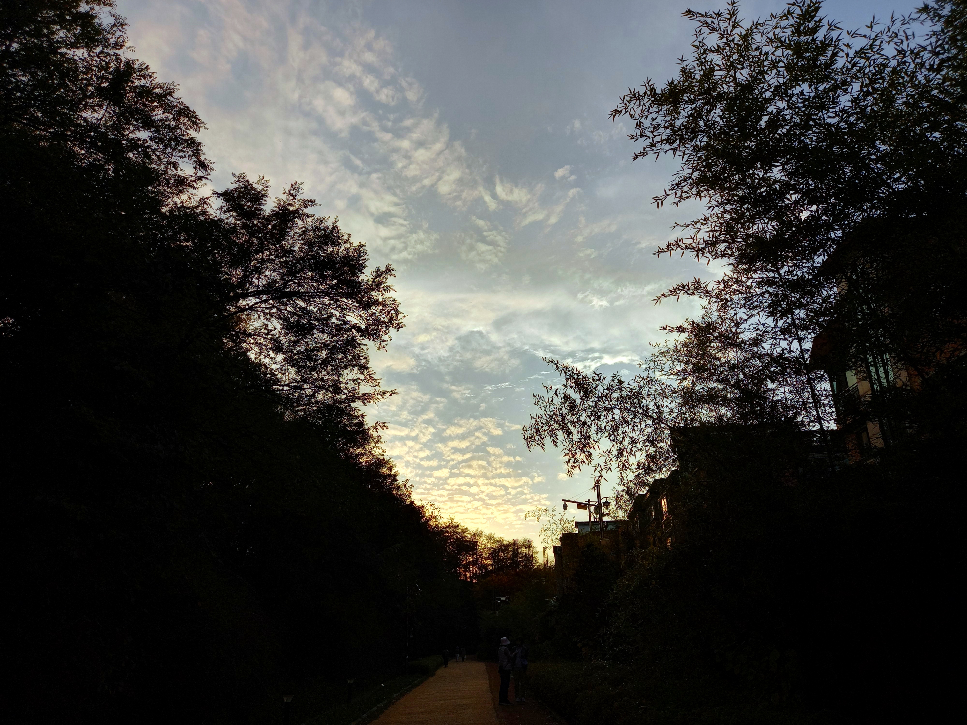 서쪽 하늘 올려 보니