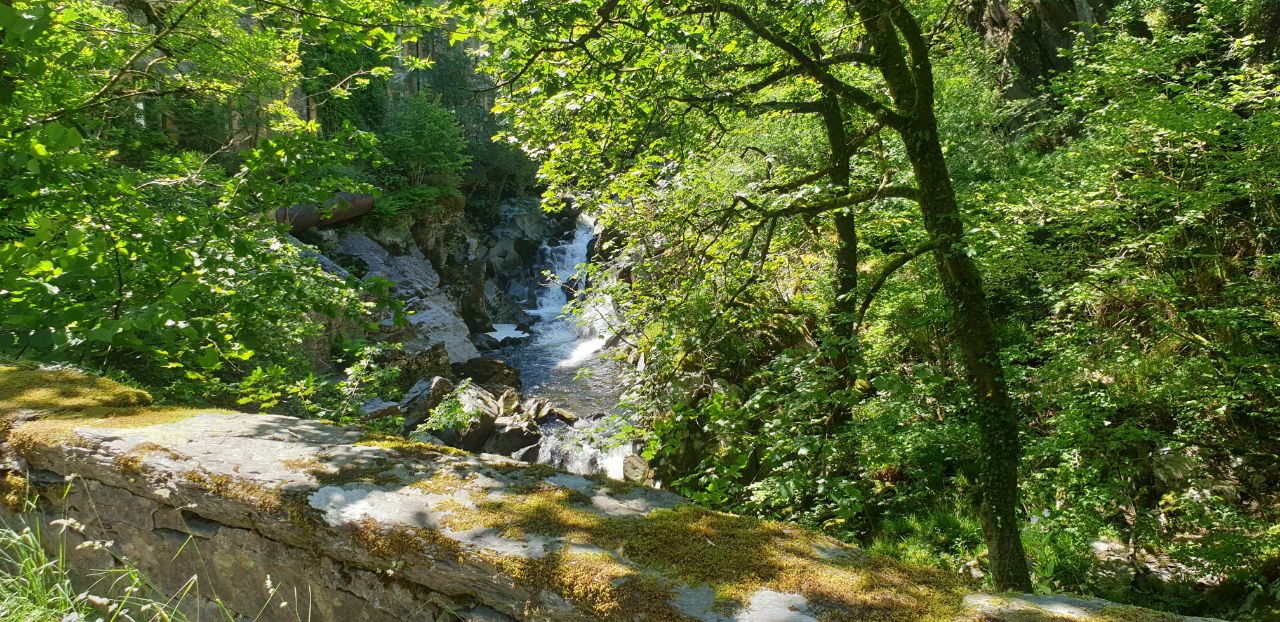 IMAGE 2019-07-04 09:26:51.jpg