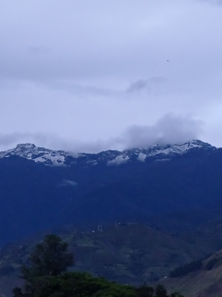 IMG_20210606_185420.jpg