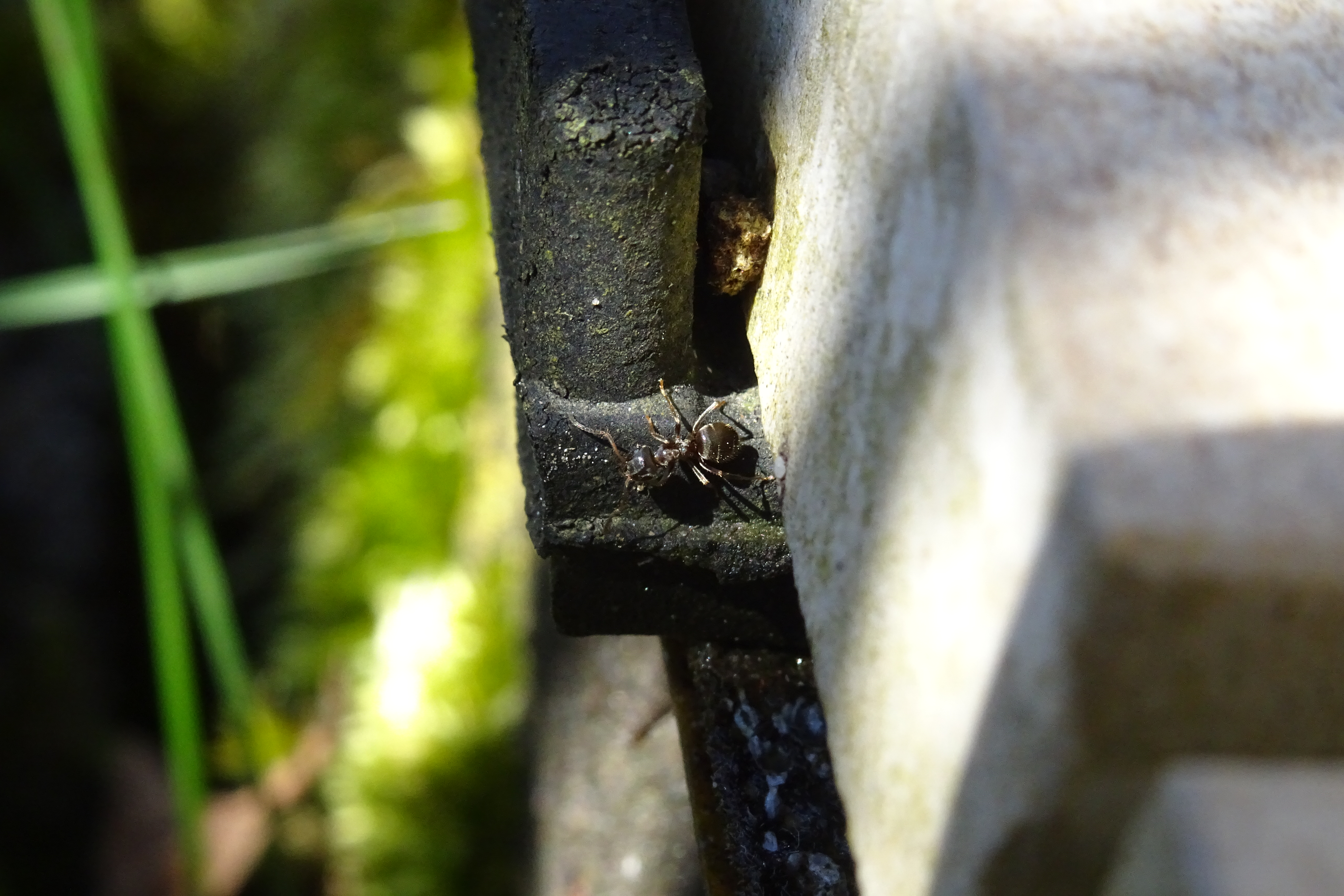 DSC02856.JPG