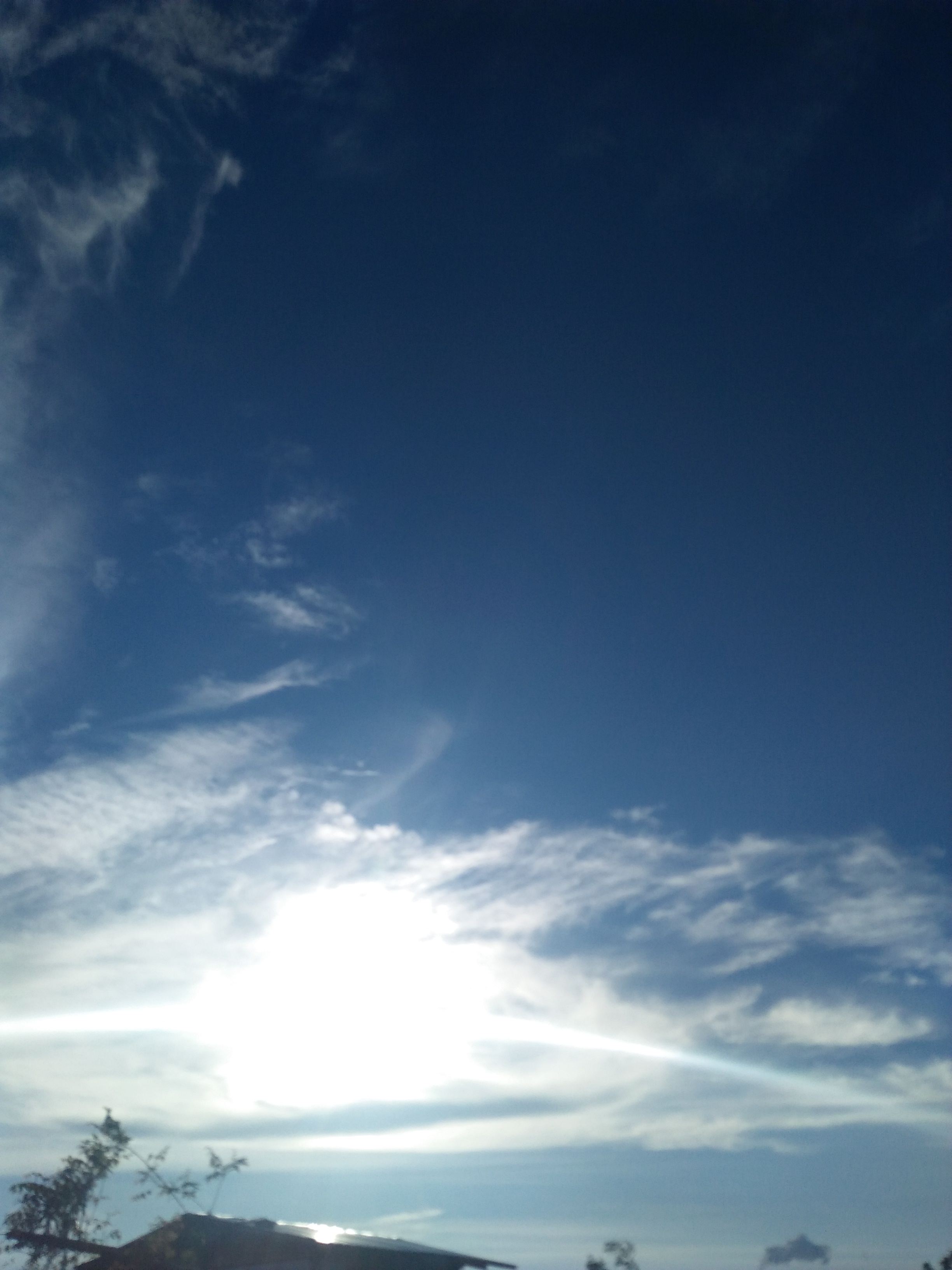 IMG20220109162334.jpg