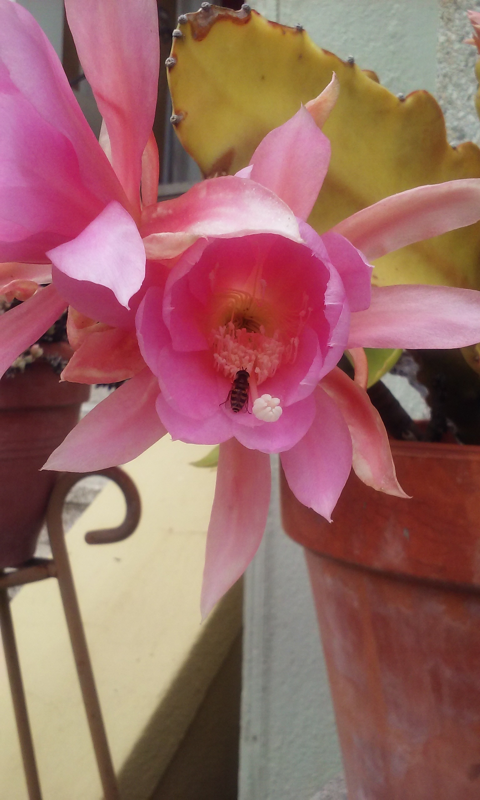 20190602_143428, rotated.jpg