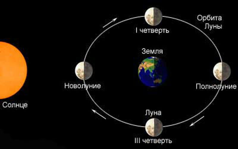 luna_001-09.jpg