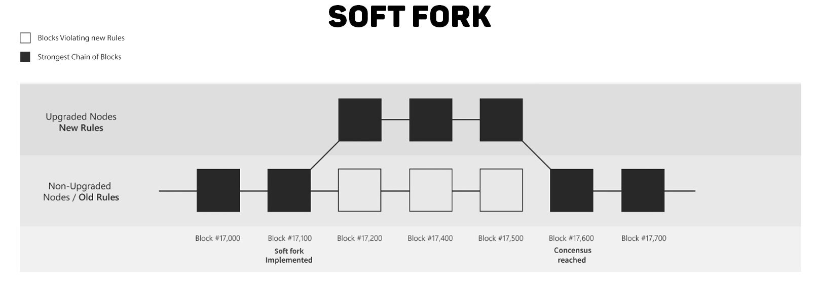soft-frk.jpg