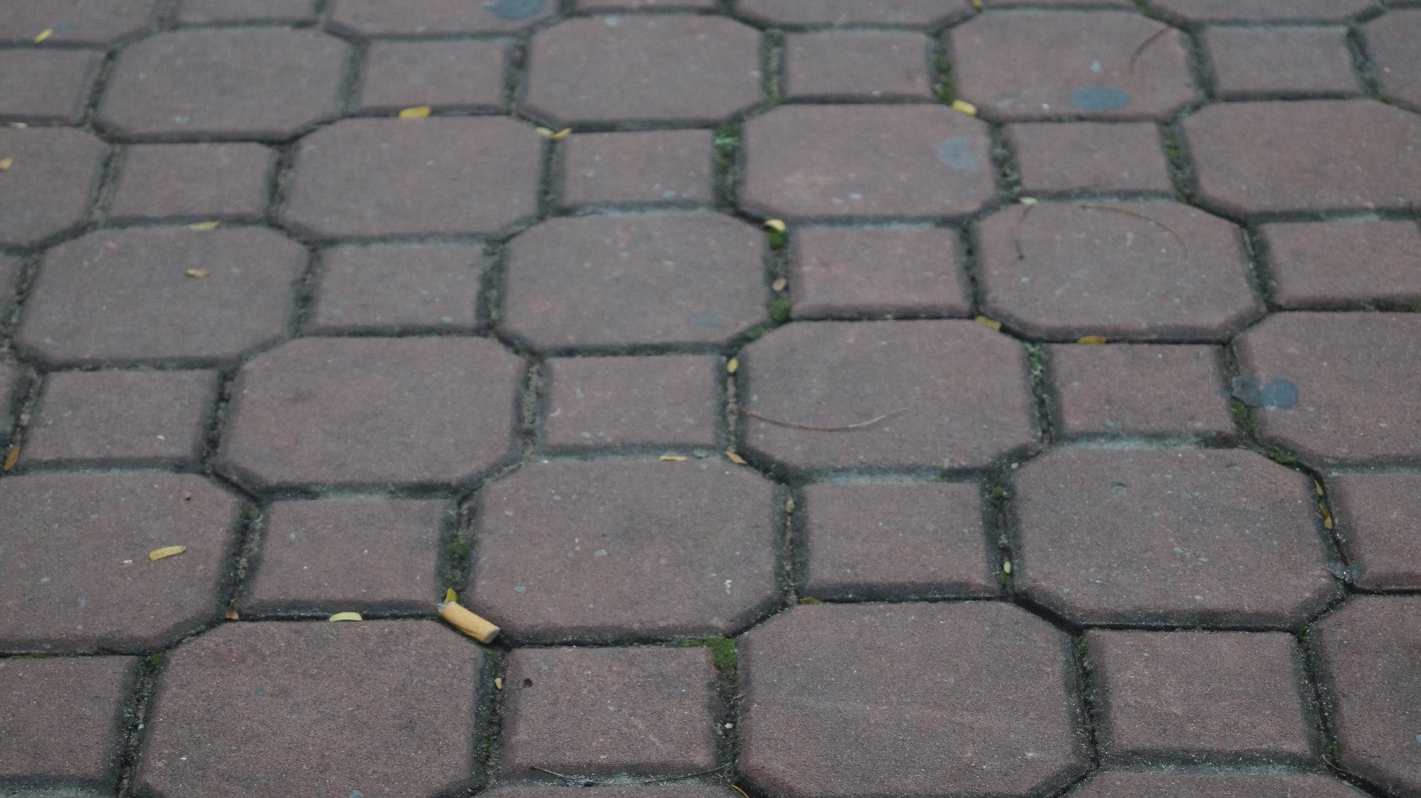 2016-09-19 - Monday - 02:12 AM - 6pics - 23.9 Park 05 12045691_1632094670405617_3794082163002695281_o.jpg