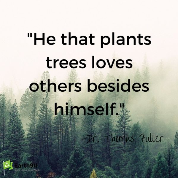 Thomas-Fuller-600x600.jpg