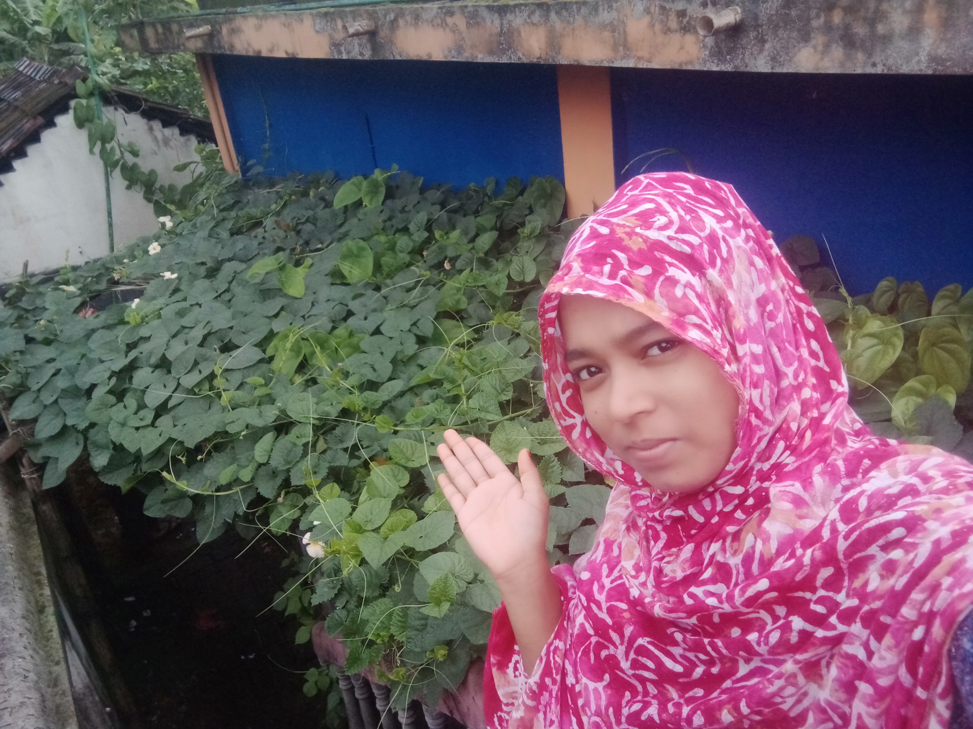 IMG20240628063546.jpg