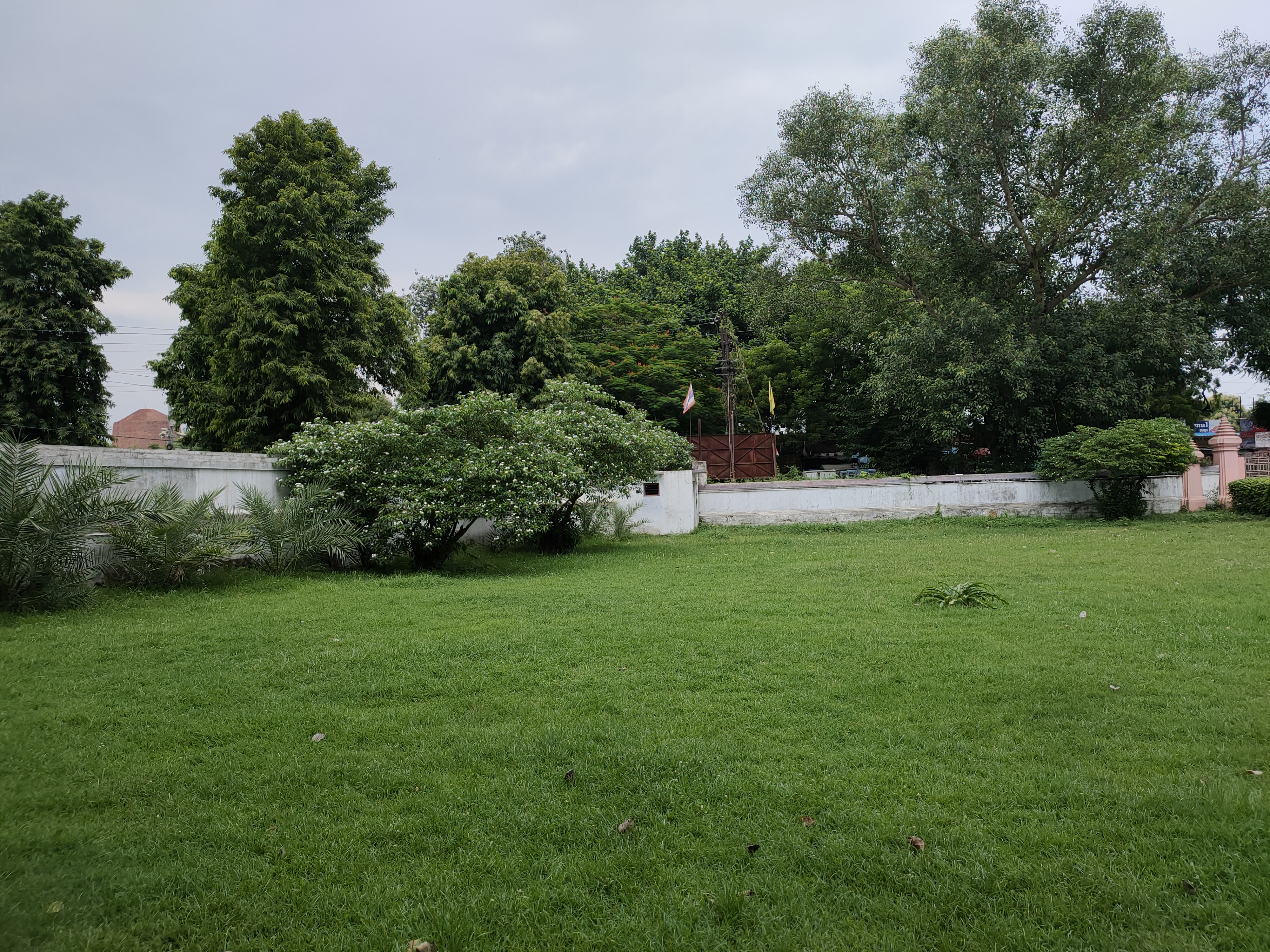 IMG20220812133148.jpg