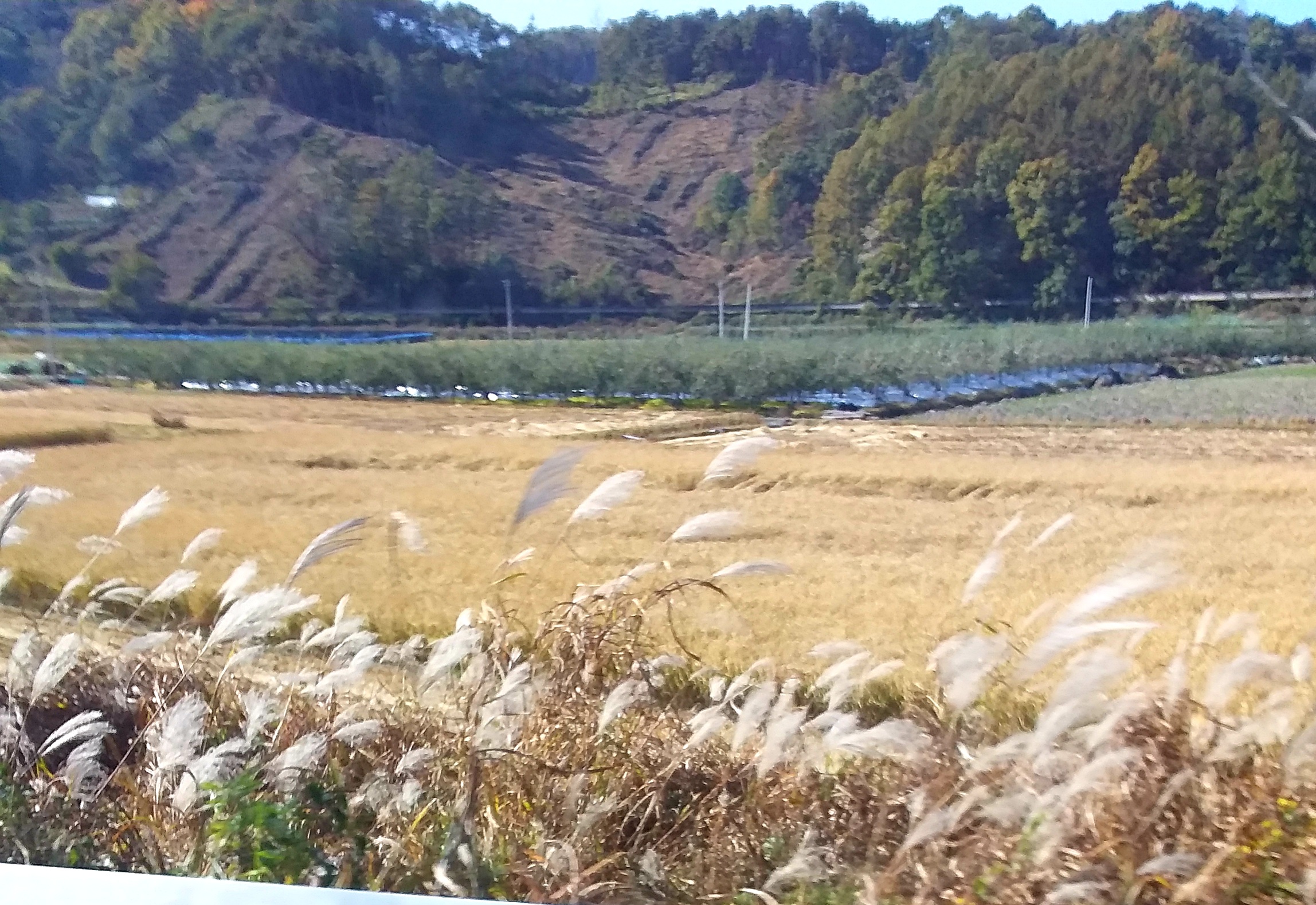 20201124_123701.jpg