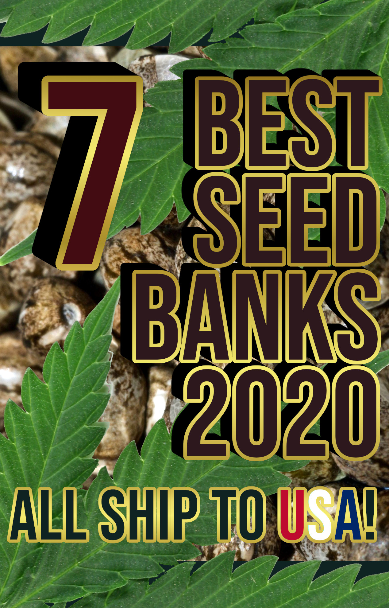 List Of The Best Marijuana Seed Banks That Ship To Usa Steemit