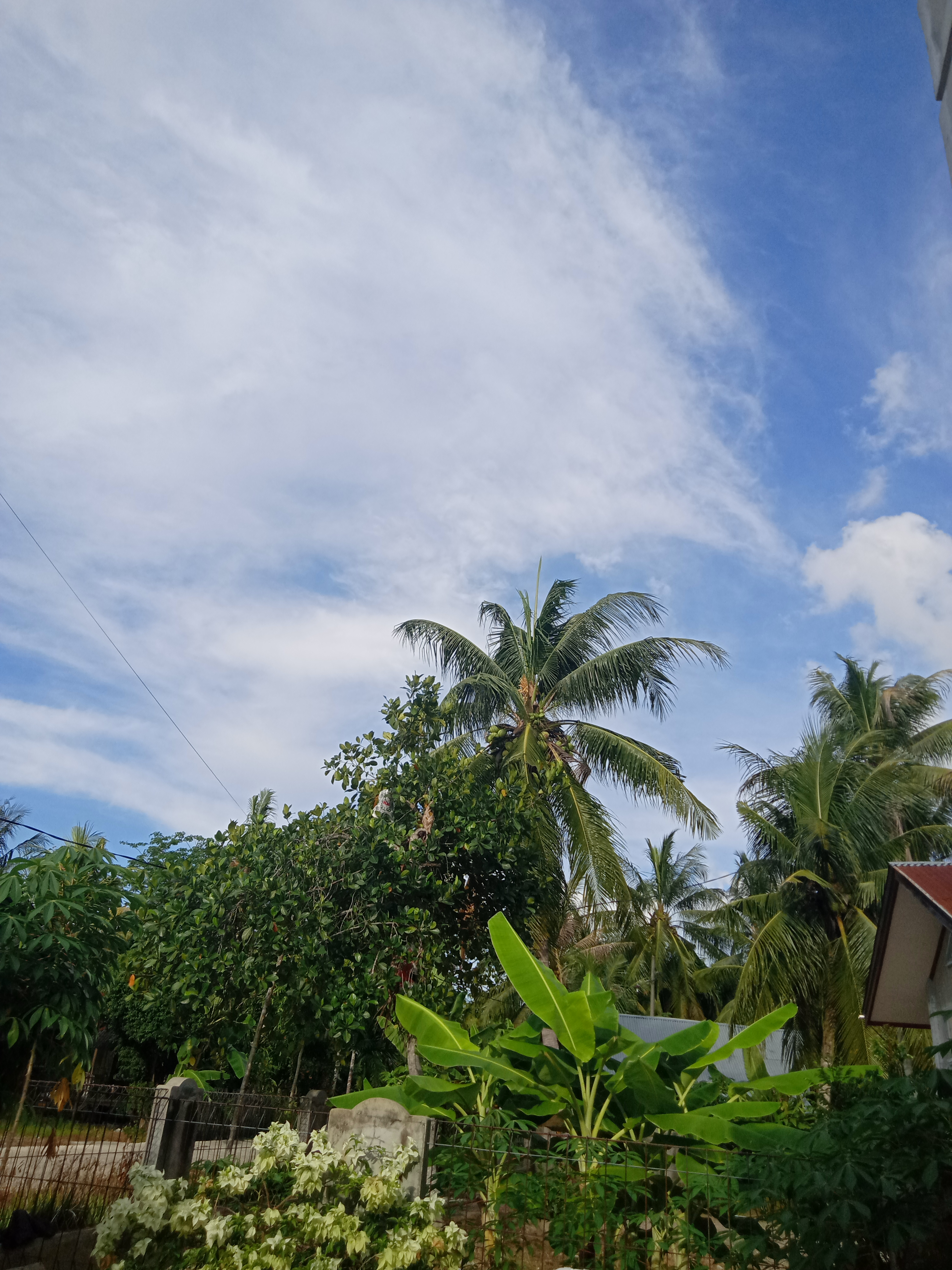 IMG20210421163428.jpg