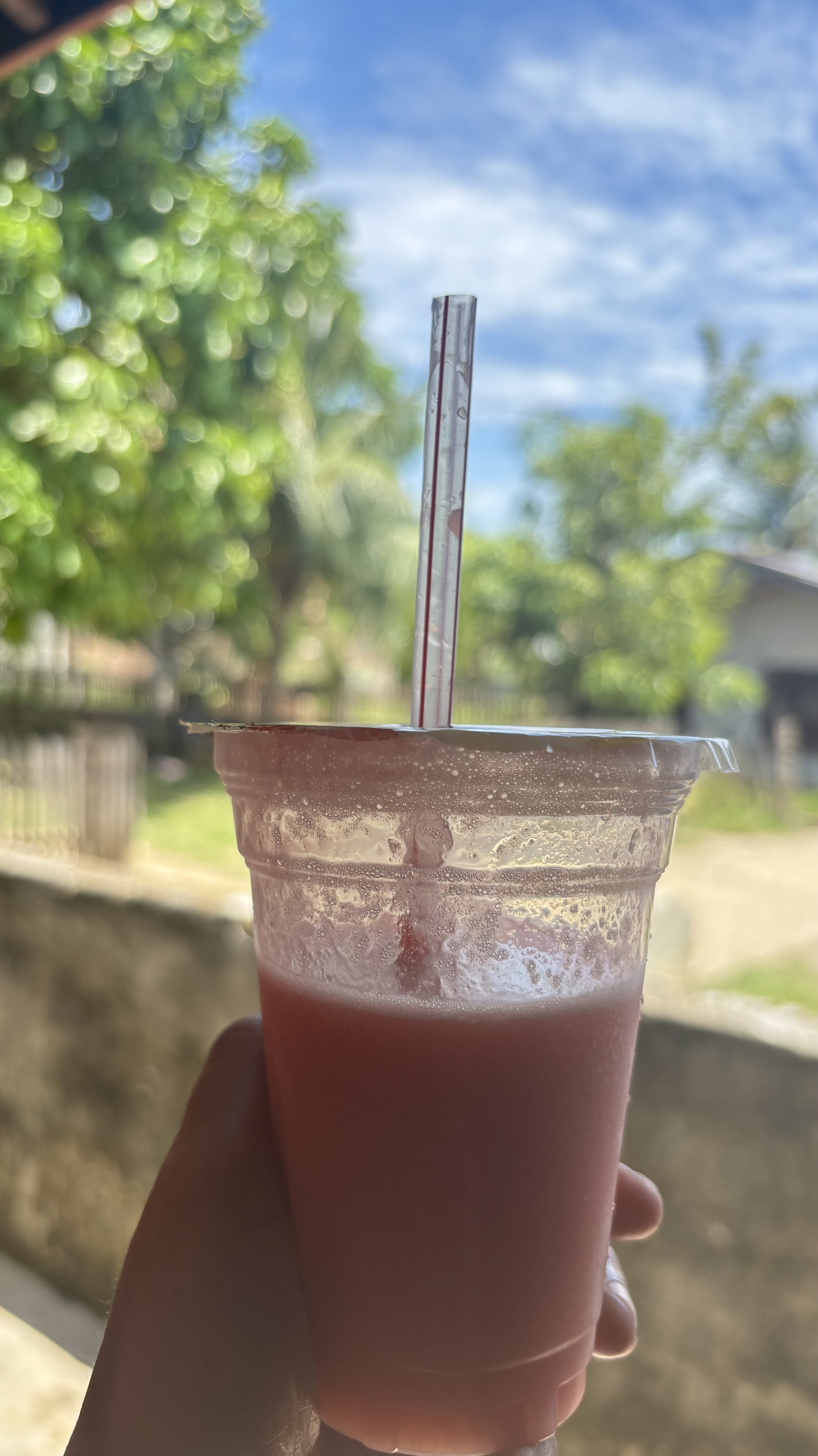 IMG_7647.jpeg