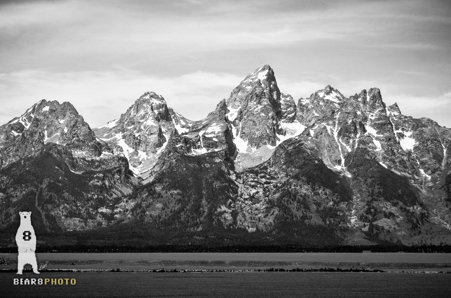 il_fullxfull.757292454_naek (1).jpg