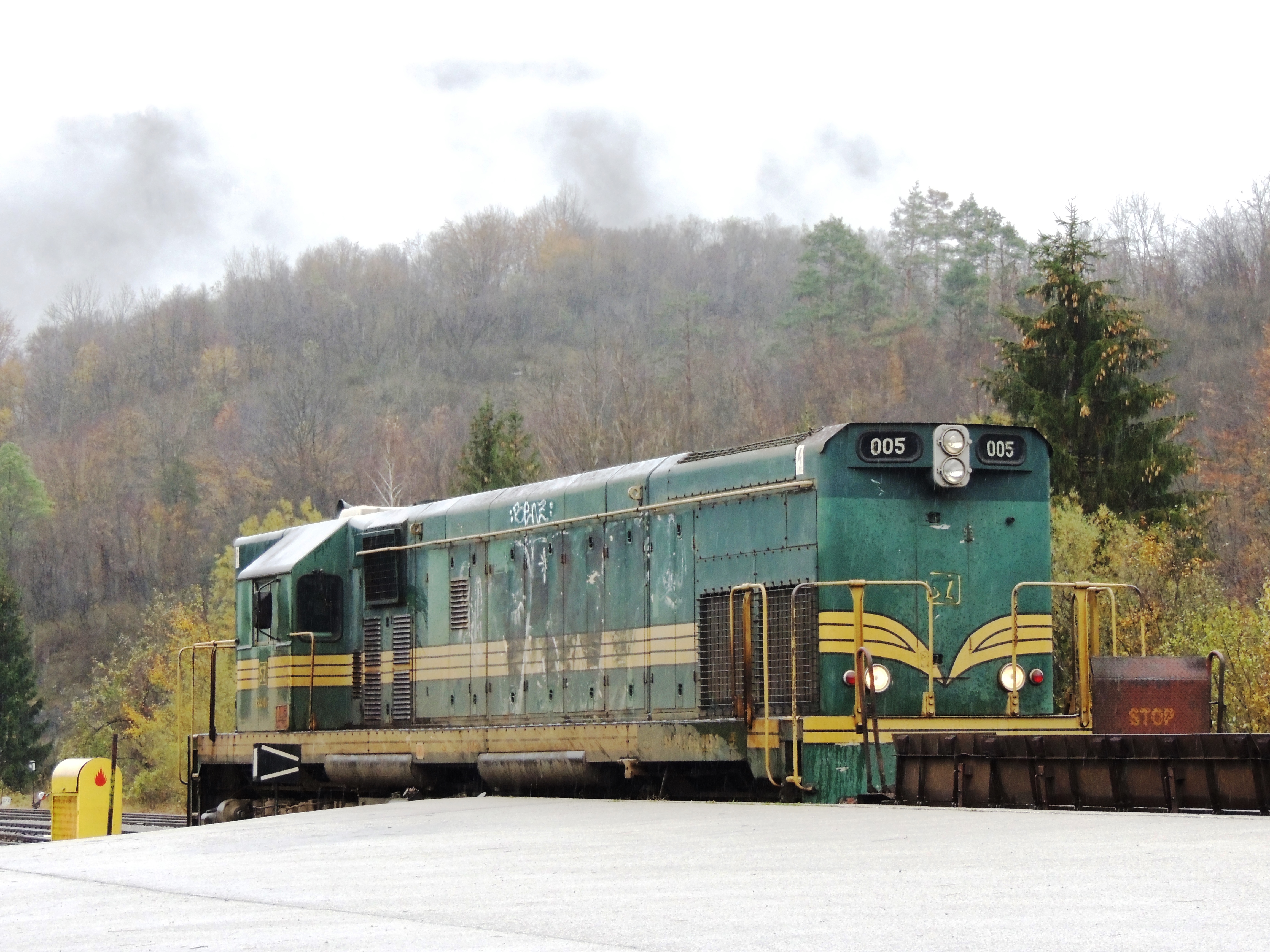 DSCN4530.JPG