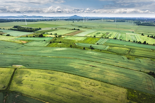 field-839797_640.jpg