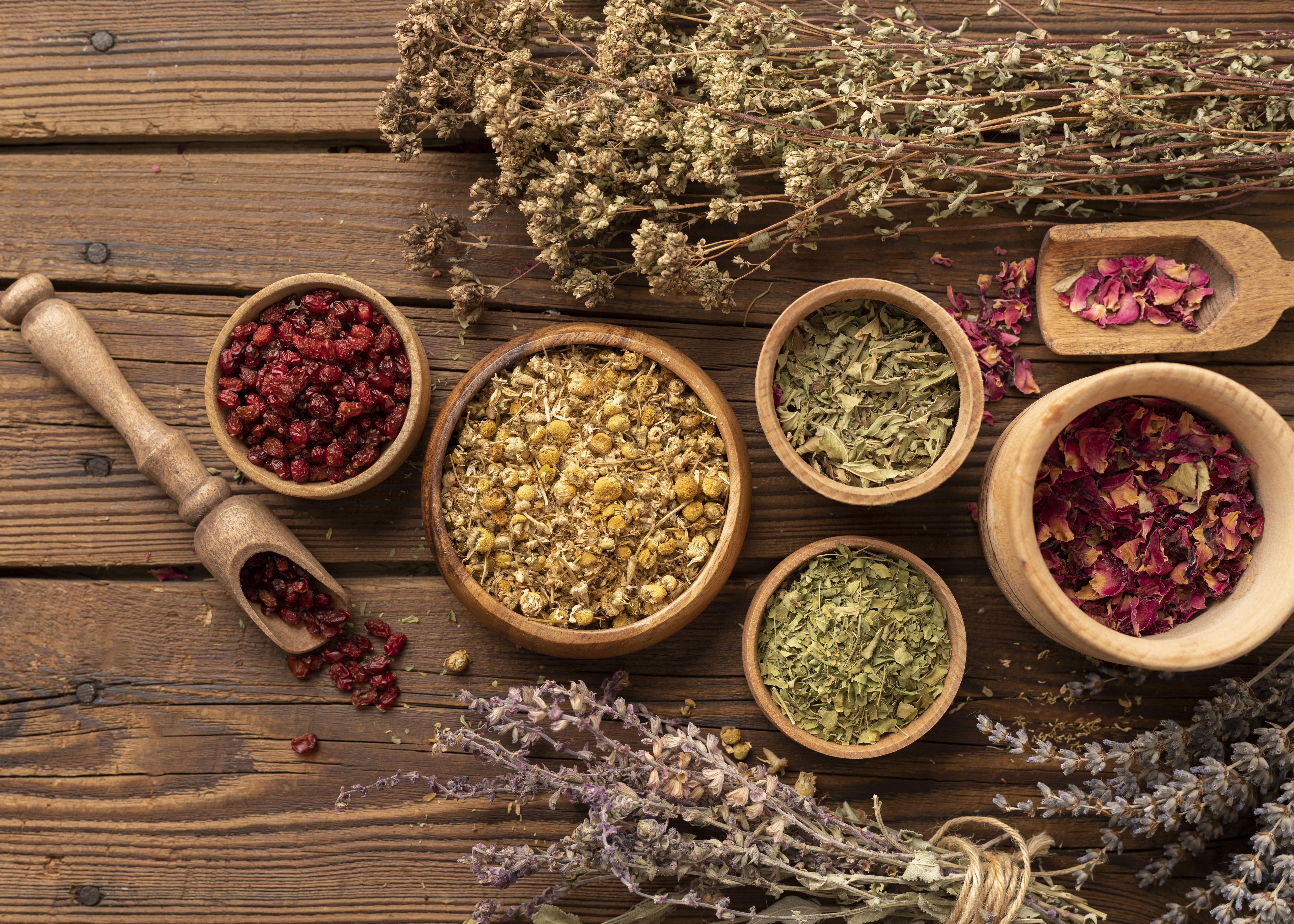 arrangement-natural-various-herbs-top-view.jpg
