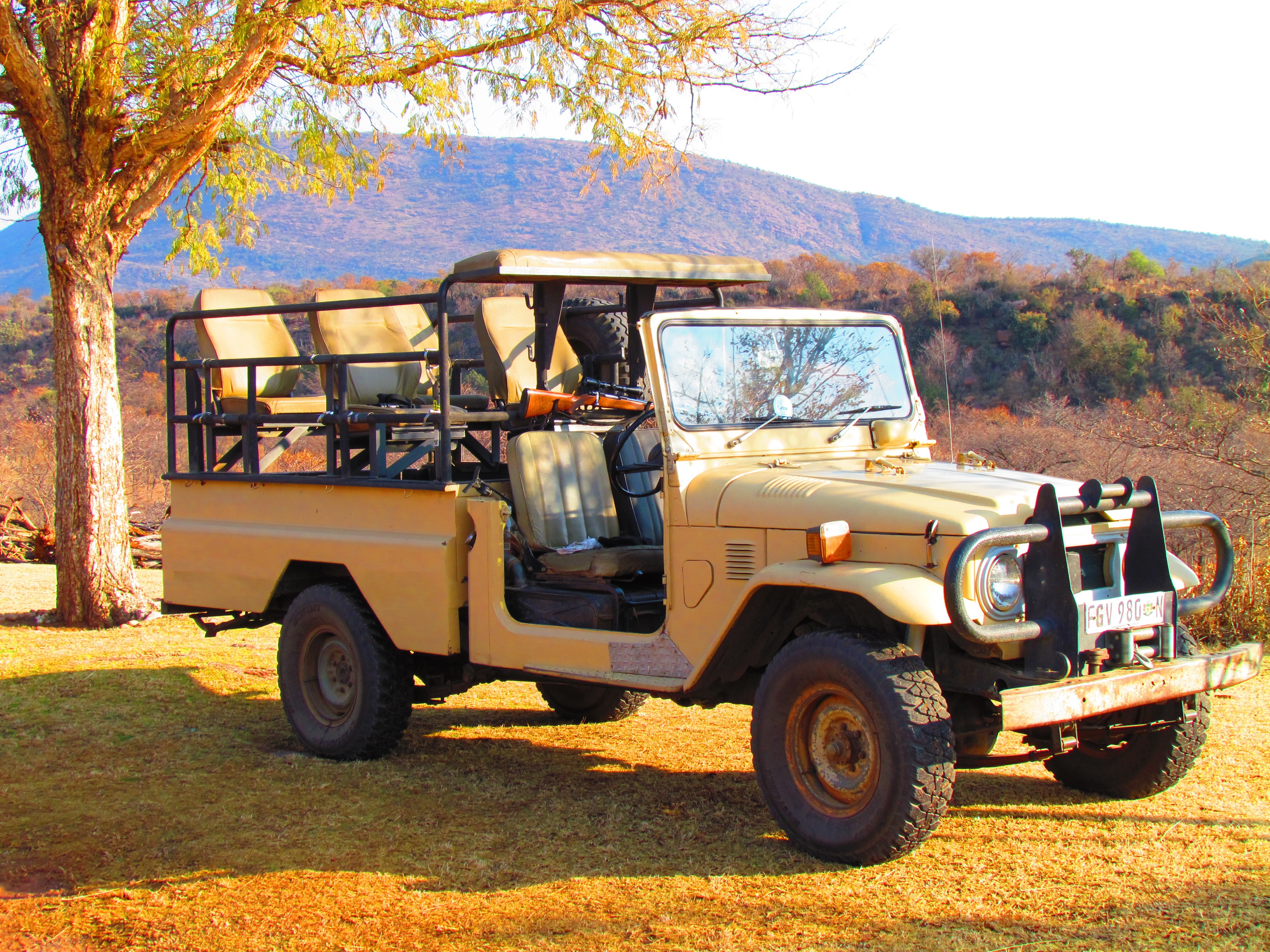 csharker-safari-382383.jpg