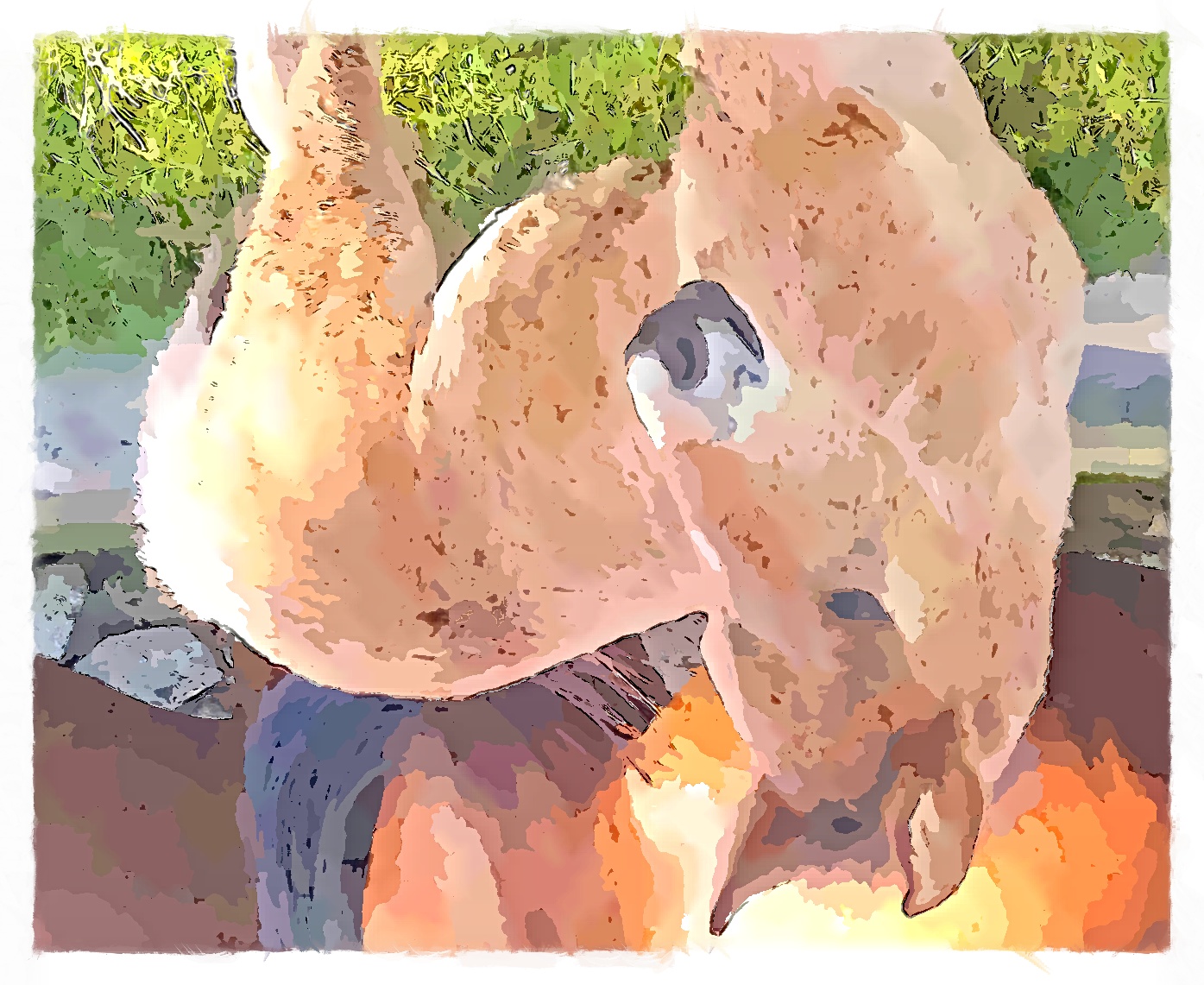 IMG_20220622_090841_818_FotoSketcher.jpg
