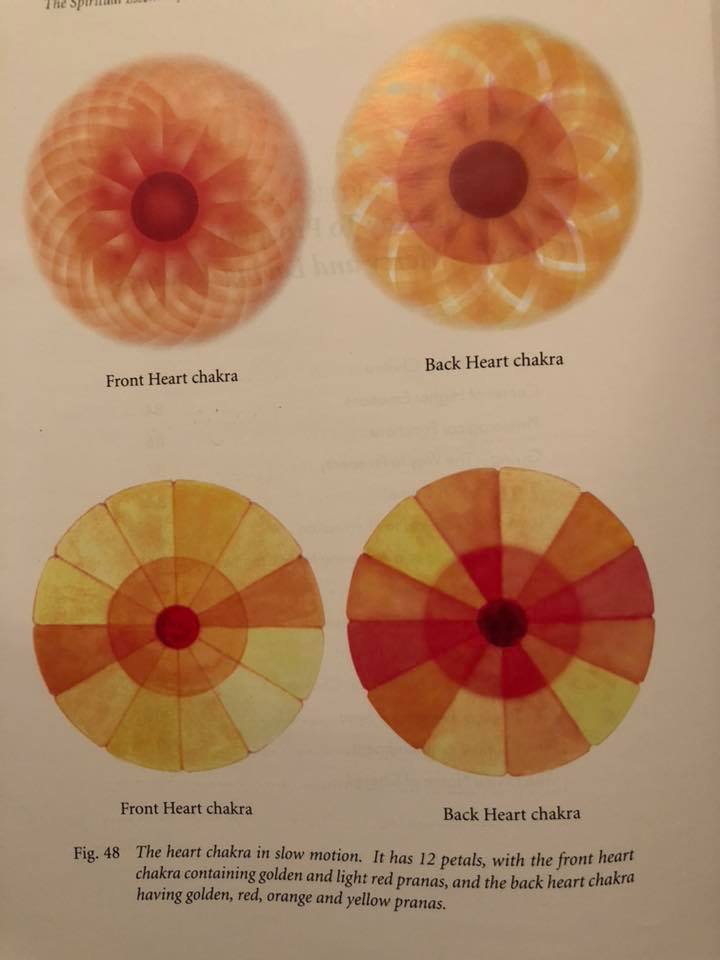 43728823_10218454756500162_2140542276475027456_n.jpg