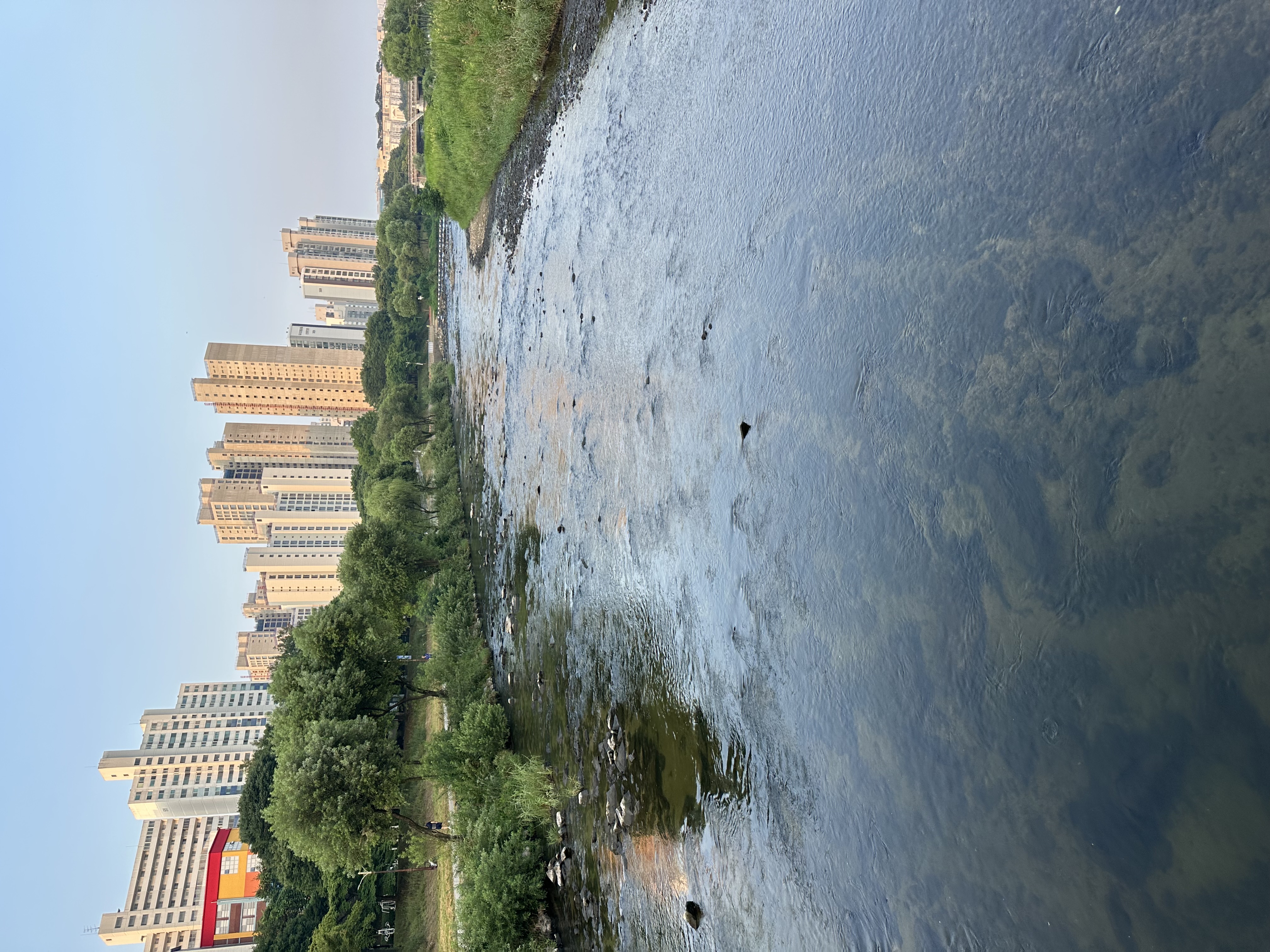 IMG_9652.jpeg