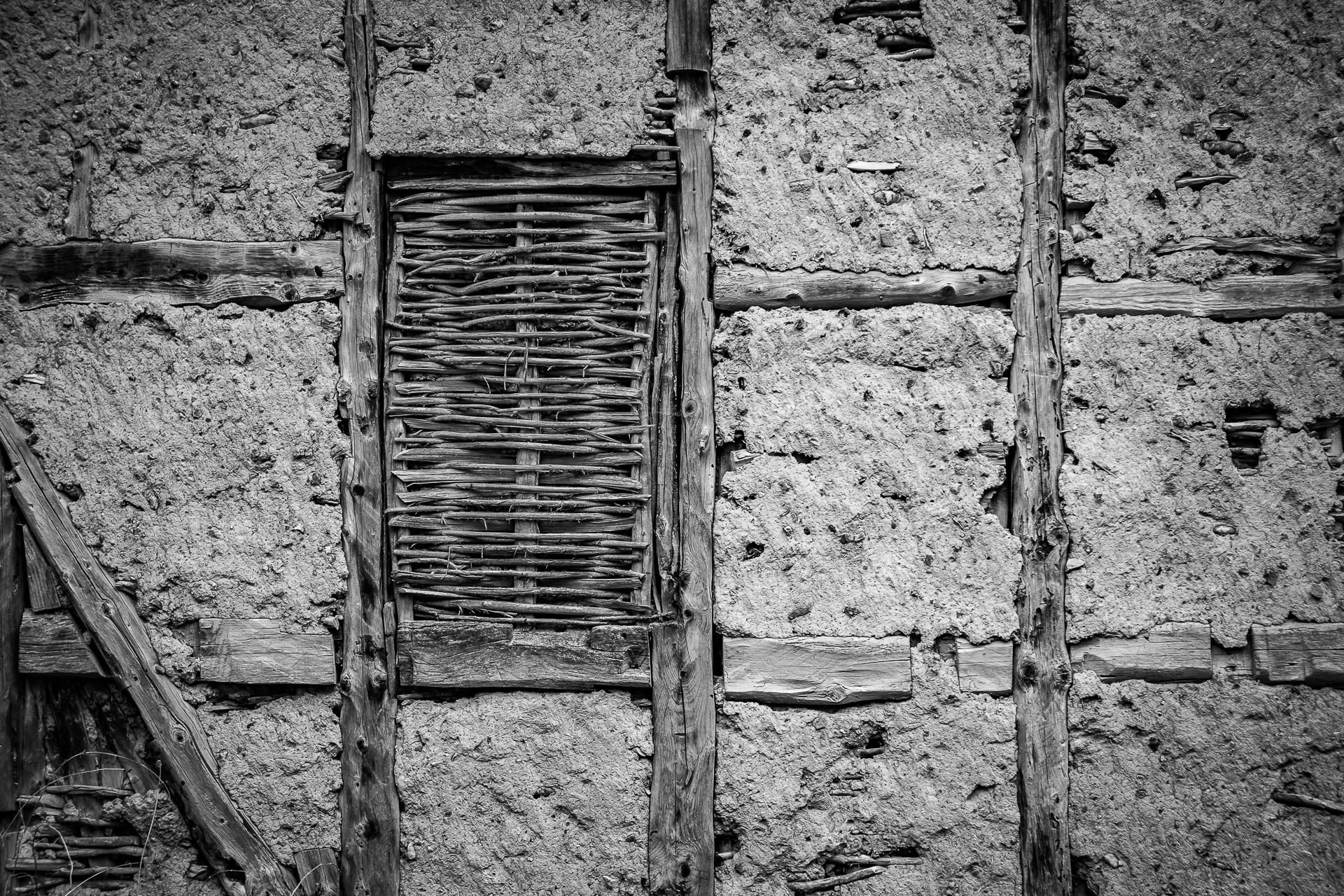 IMG_1337.jpg