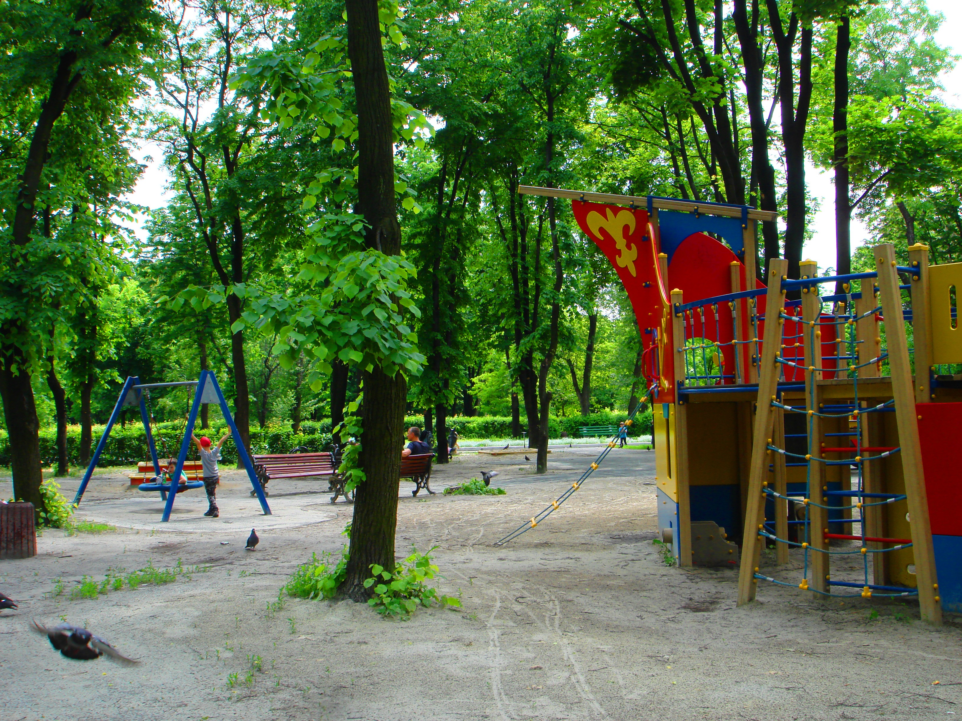 DSC02208-222222.jpg