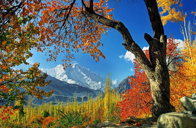 Rakaposhi (7788 m) in Autumn.jpg