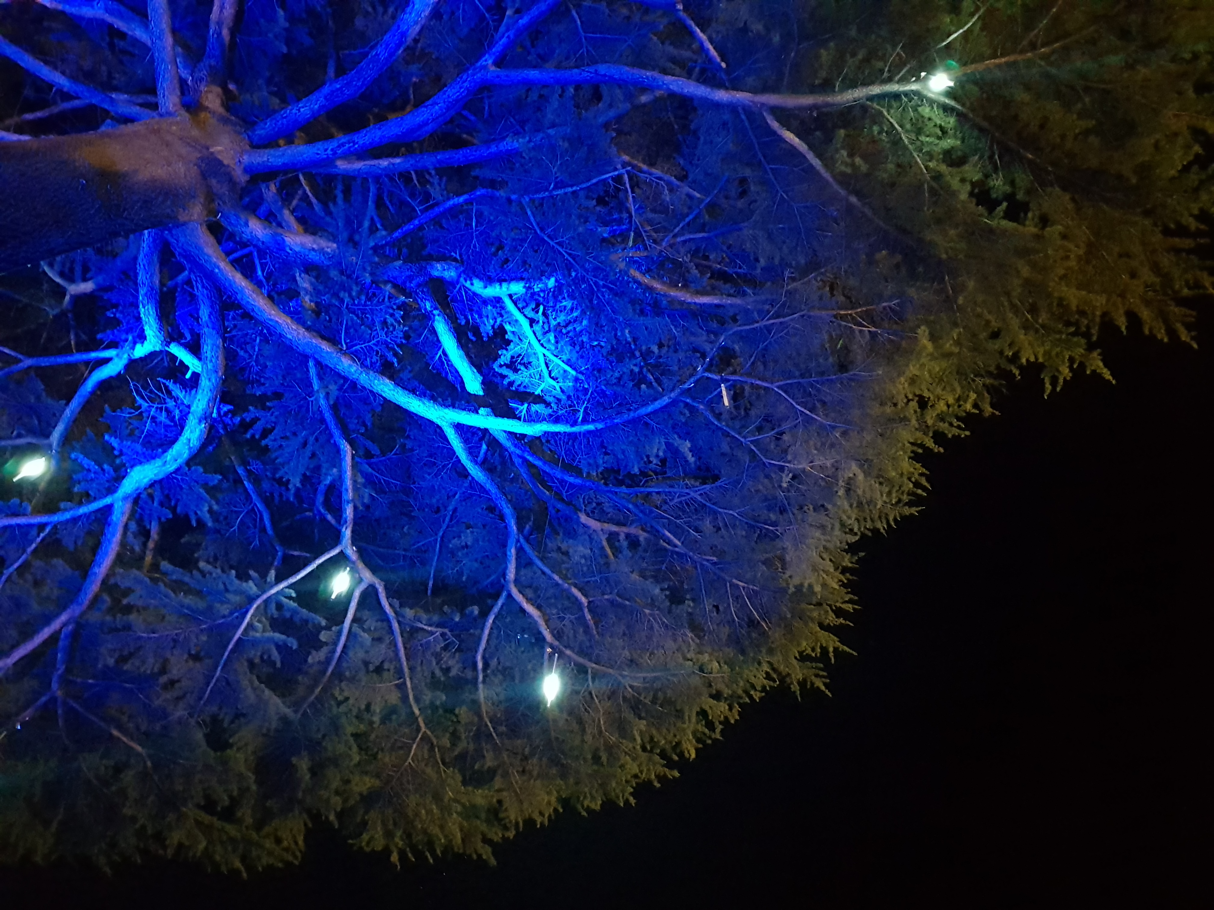 20190125_204747.jpg