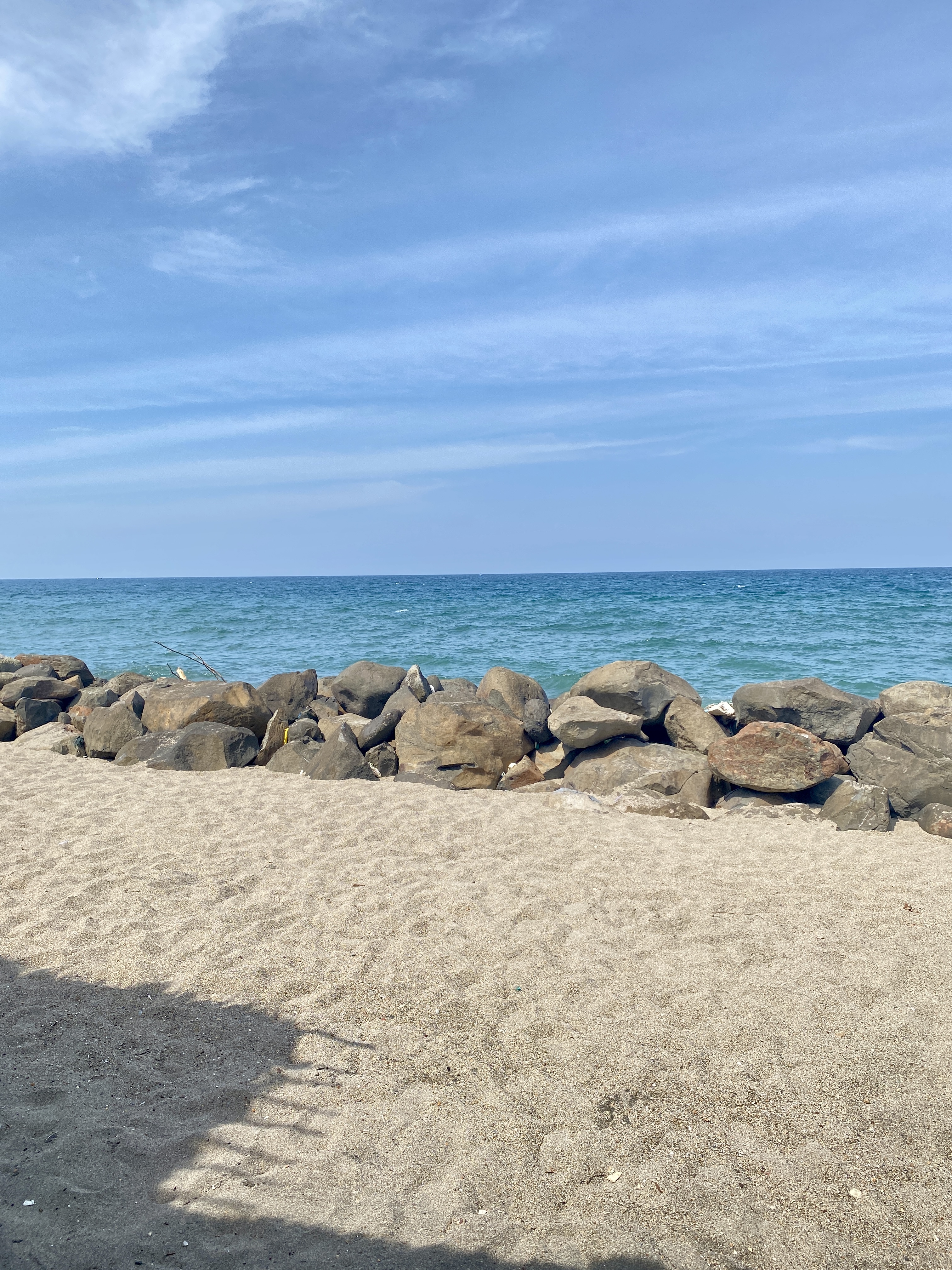 IMG_8129.jpeg