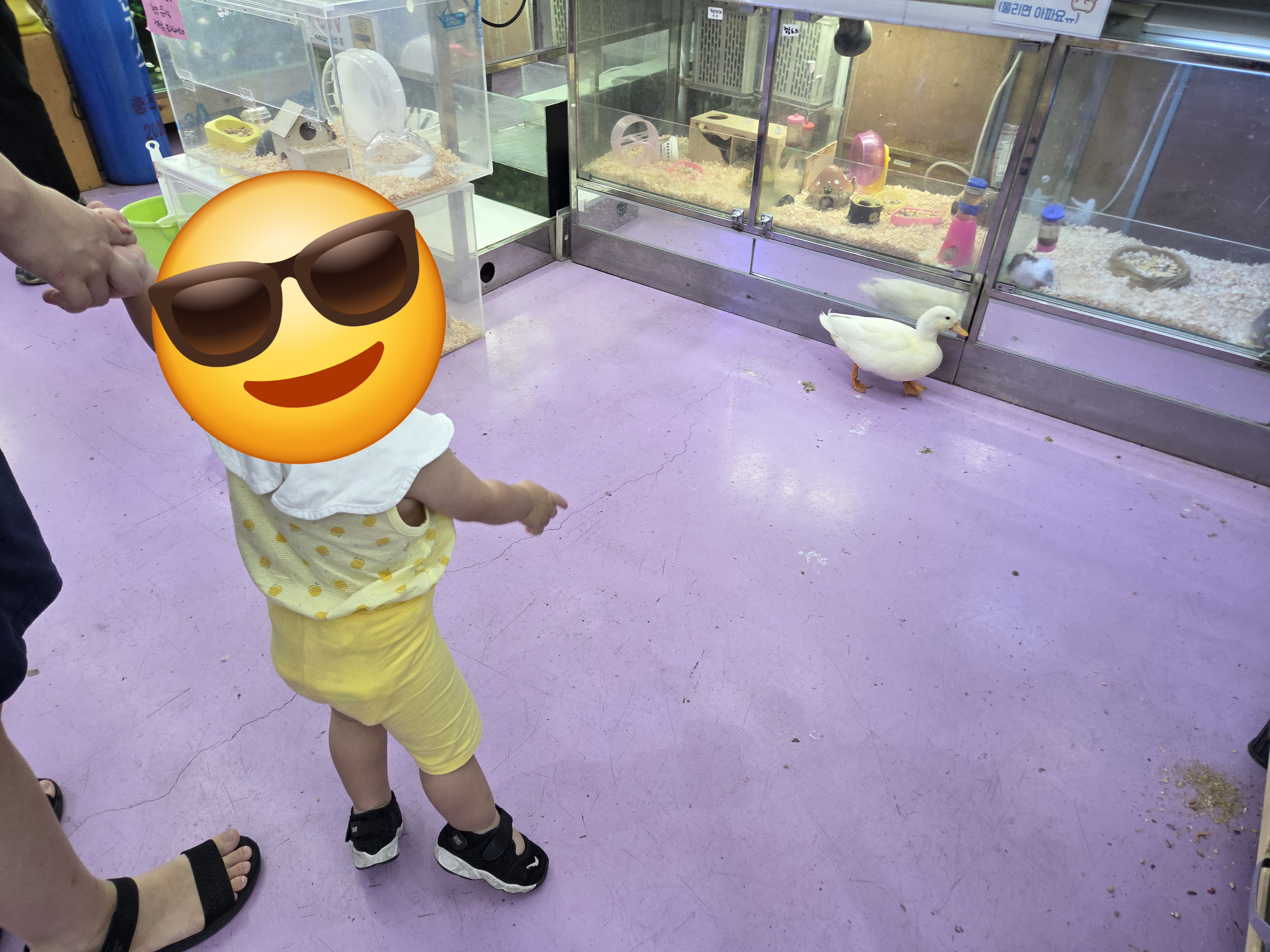 20260808_104309.jpg