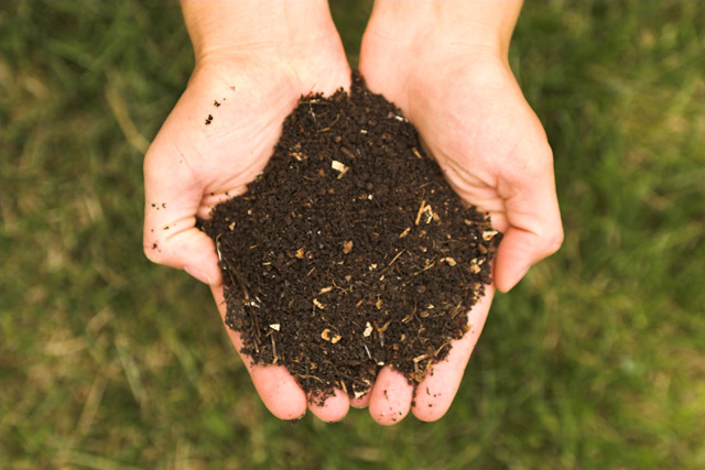 Real_Compost.jpg