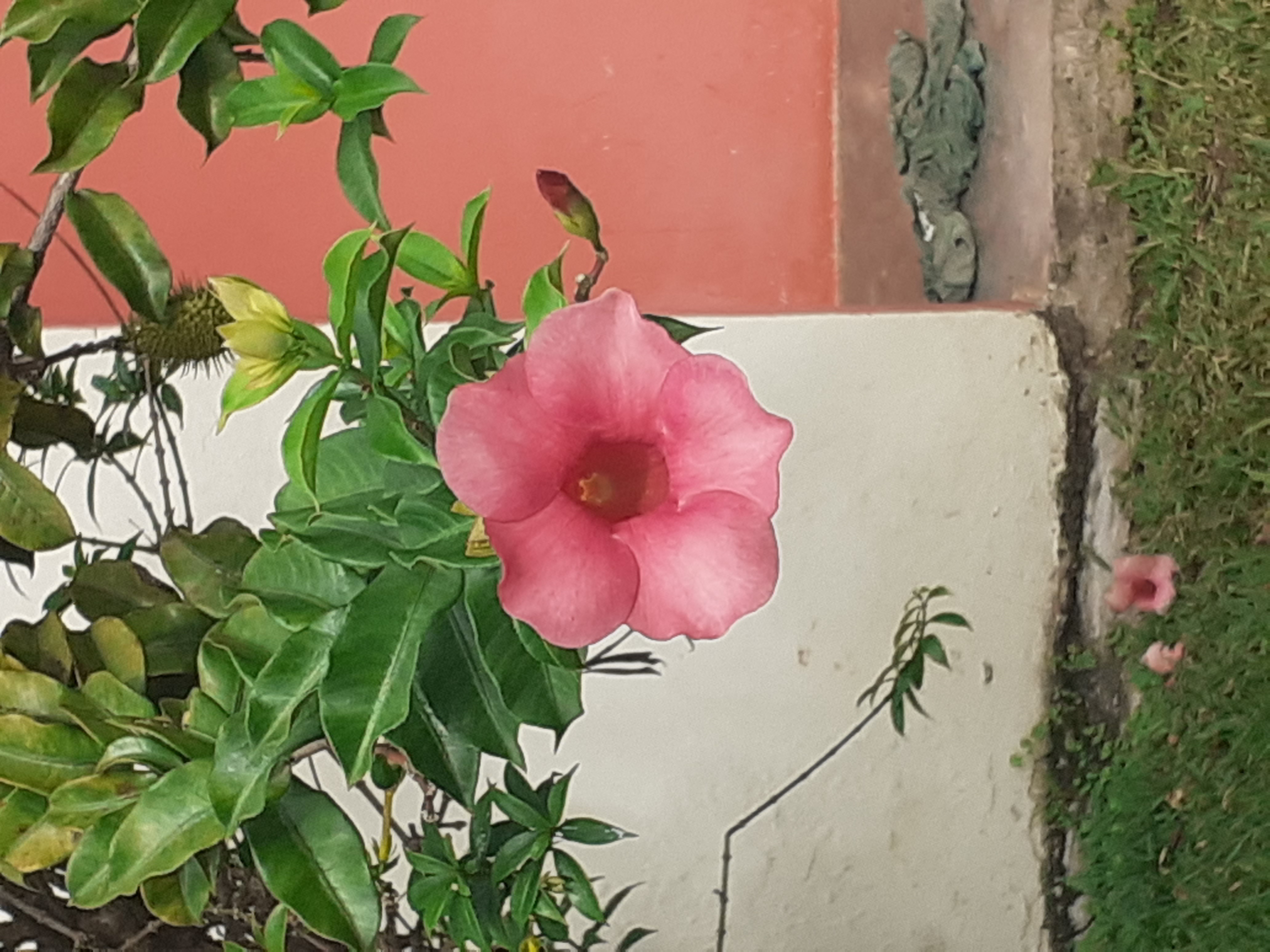 20210831_090530.jpg