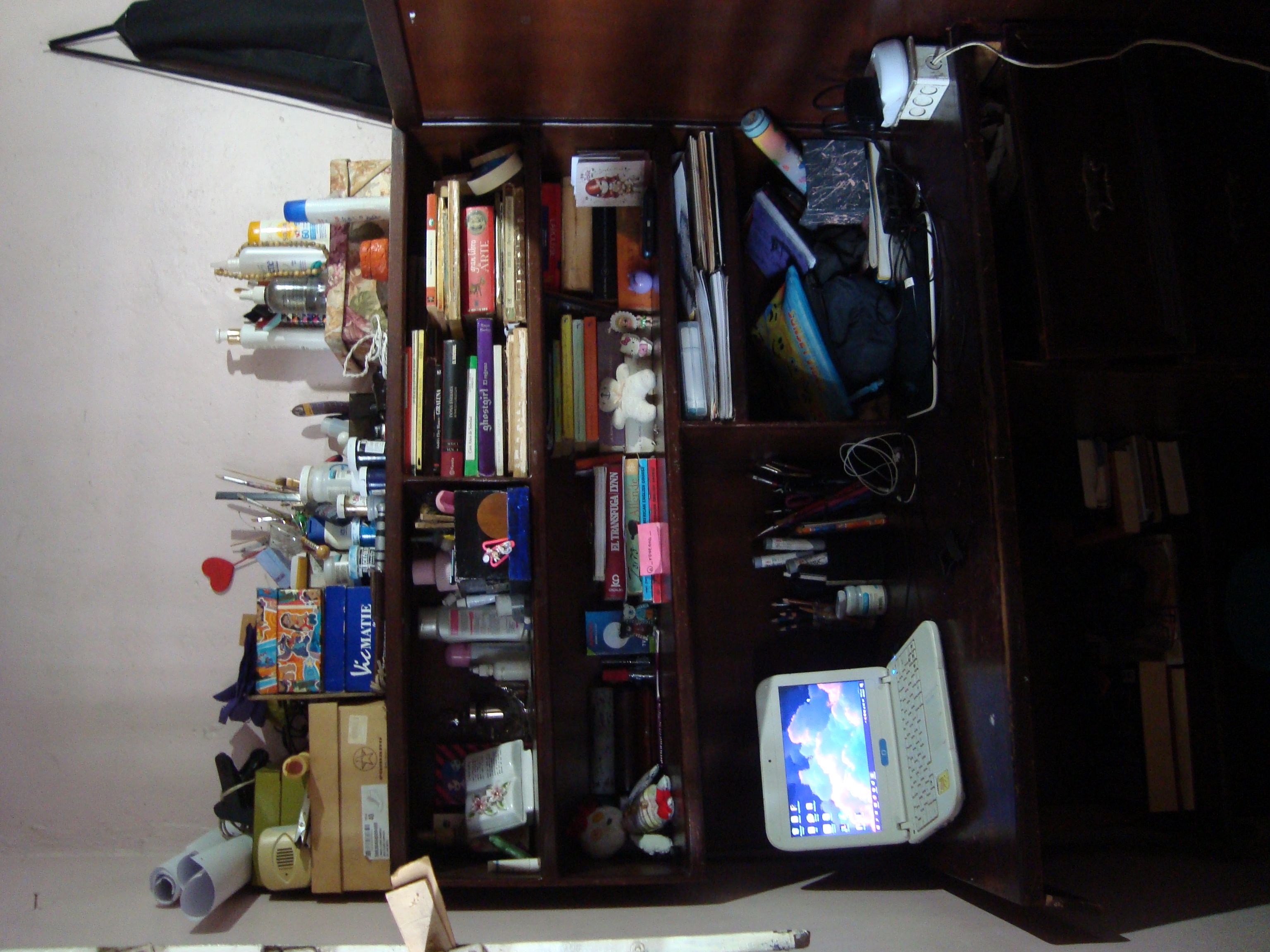 DSC09619.JPG