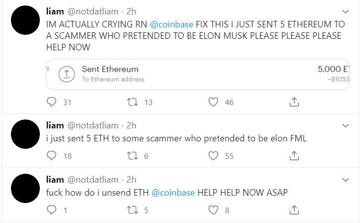 elonscam2.png