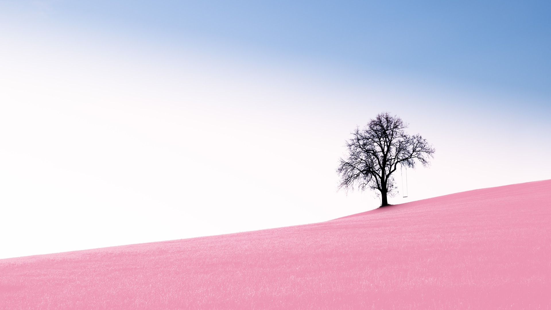 nature-3044755_1920.jpg