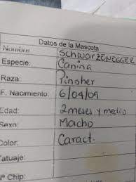 imagen.png