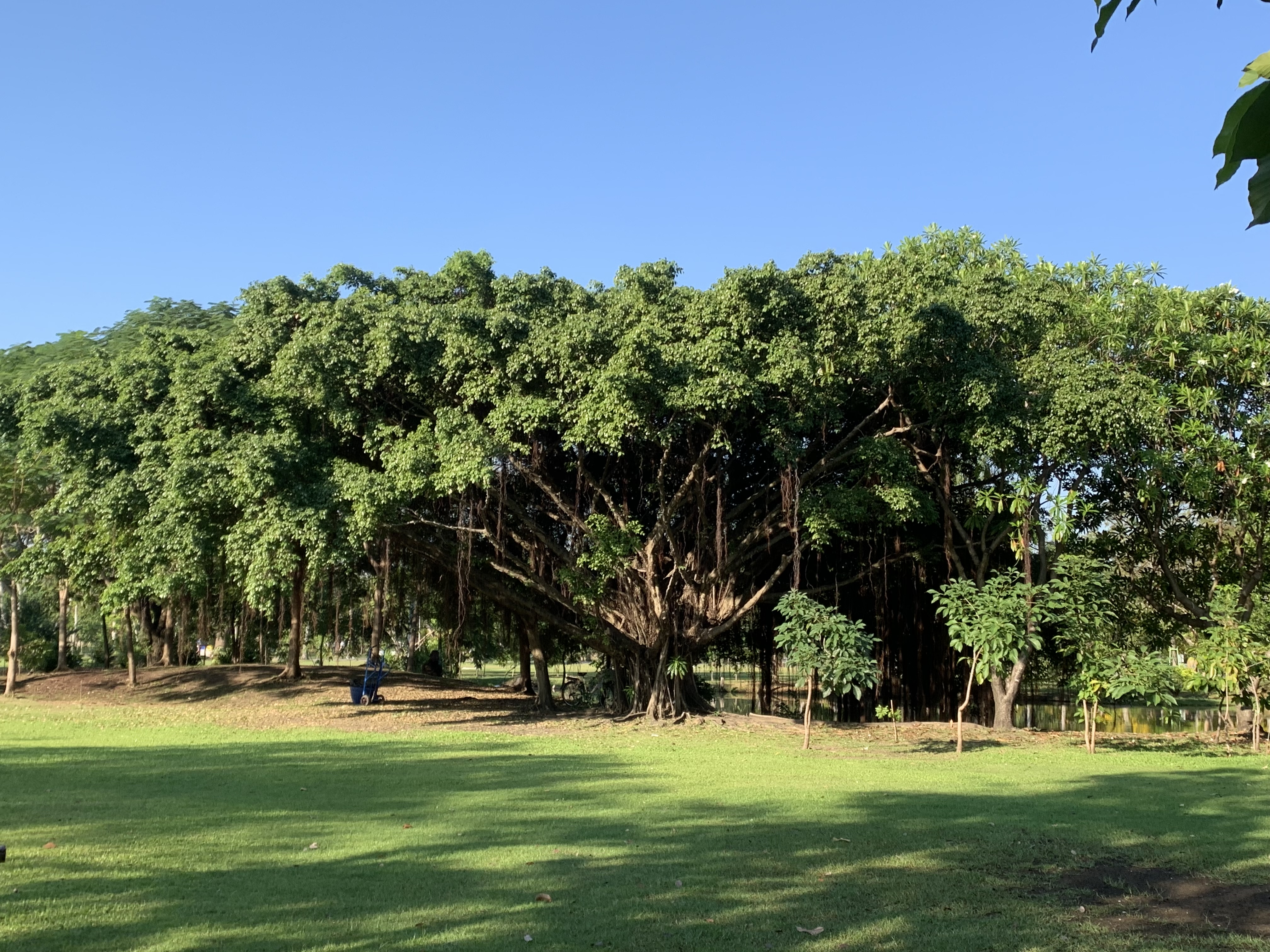 Suan Rot Fai107.jpg