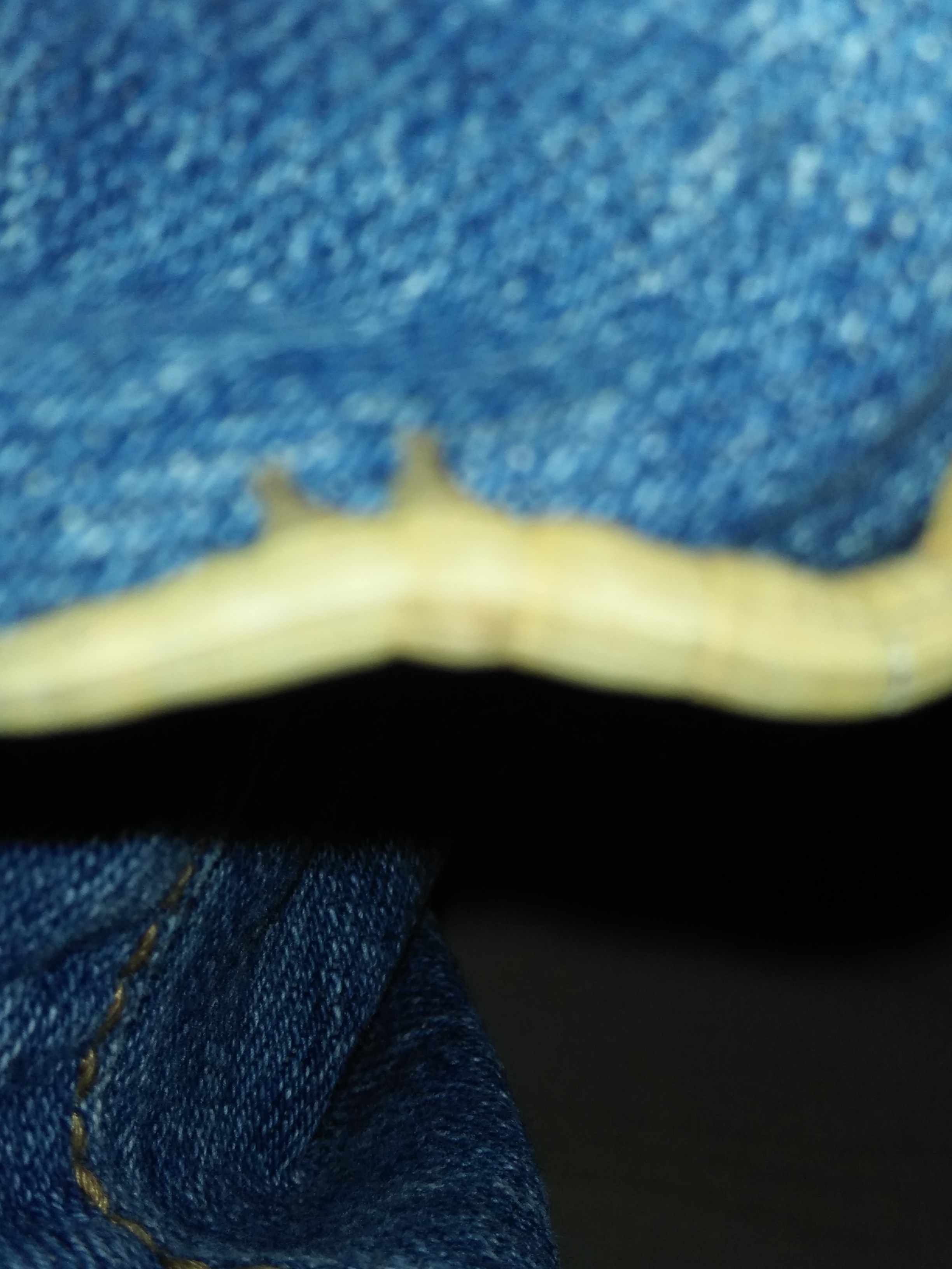 IMG20200930144039.jpg