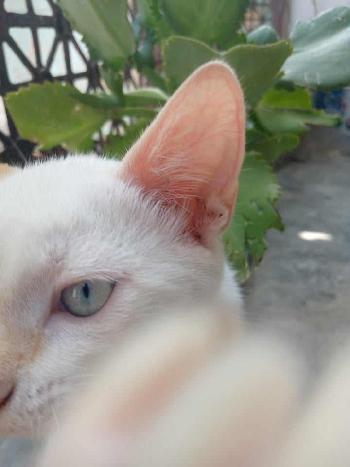 247659191_5027171290644750_7653095842395466620_n (1).jpg