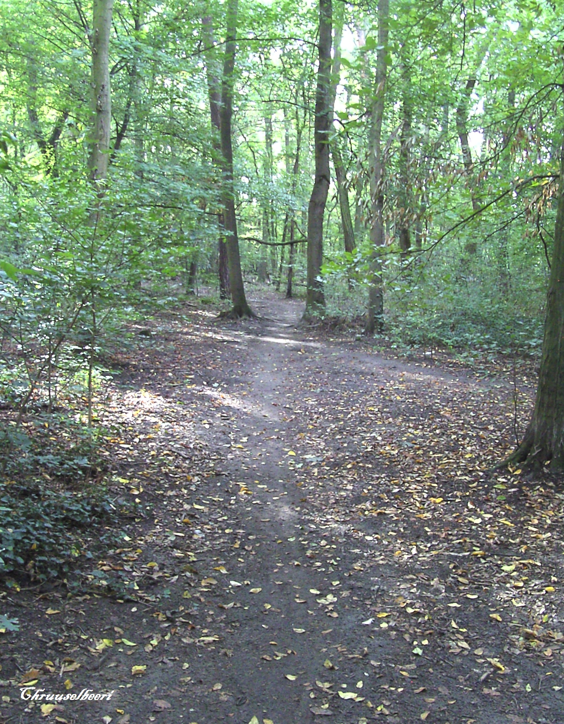 Wanderung_07.jpg