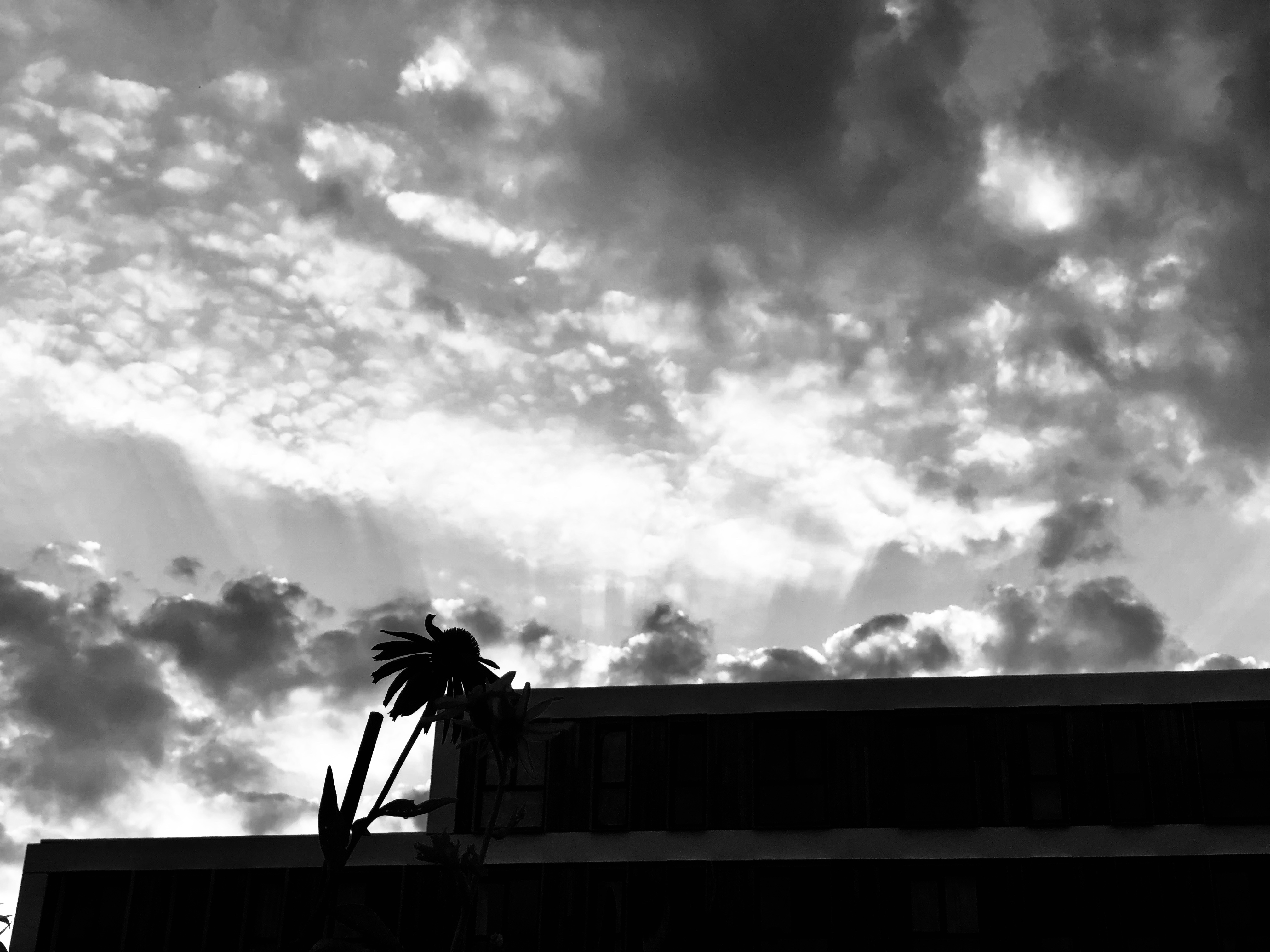 D231F503-5E4C-4C3D-B602-47D35403604B.jpeg