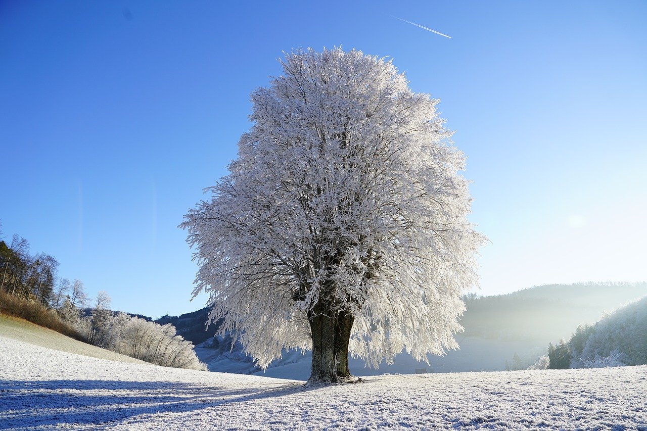 What is hoarfrost?