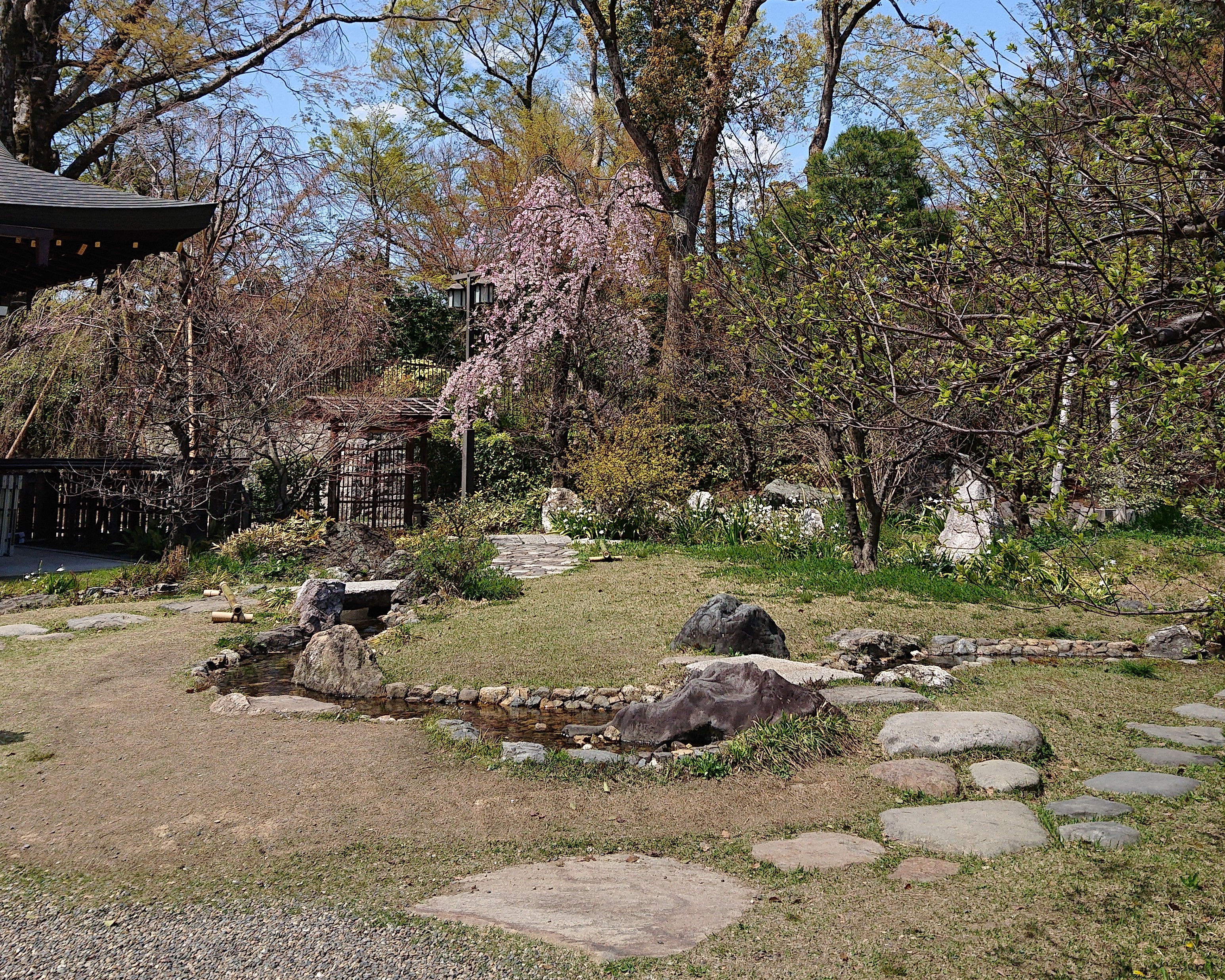 DSC_0012 (2).JPG