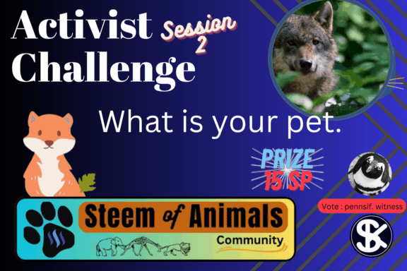 Green Minimalist Skincare Product Label (2).gif