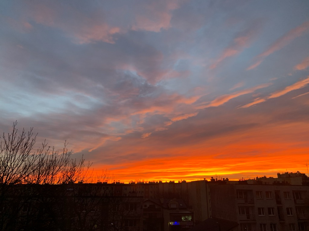 IMG_6679.jpg
