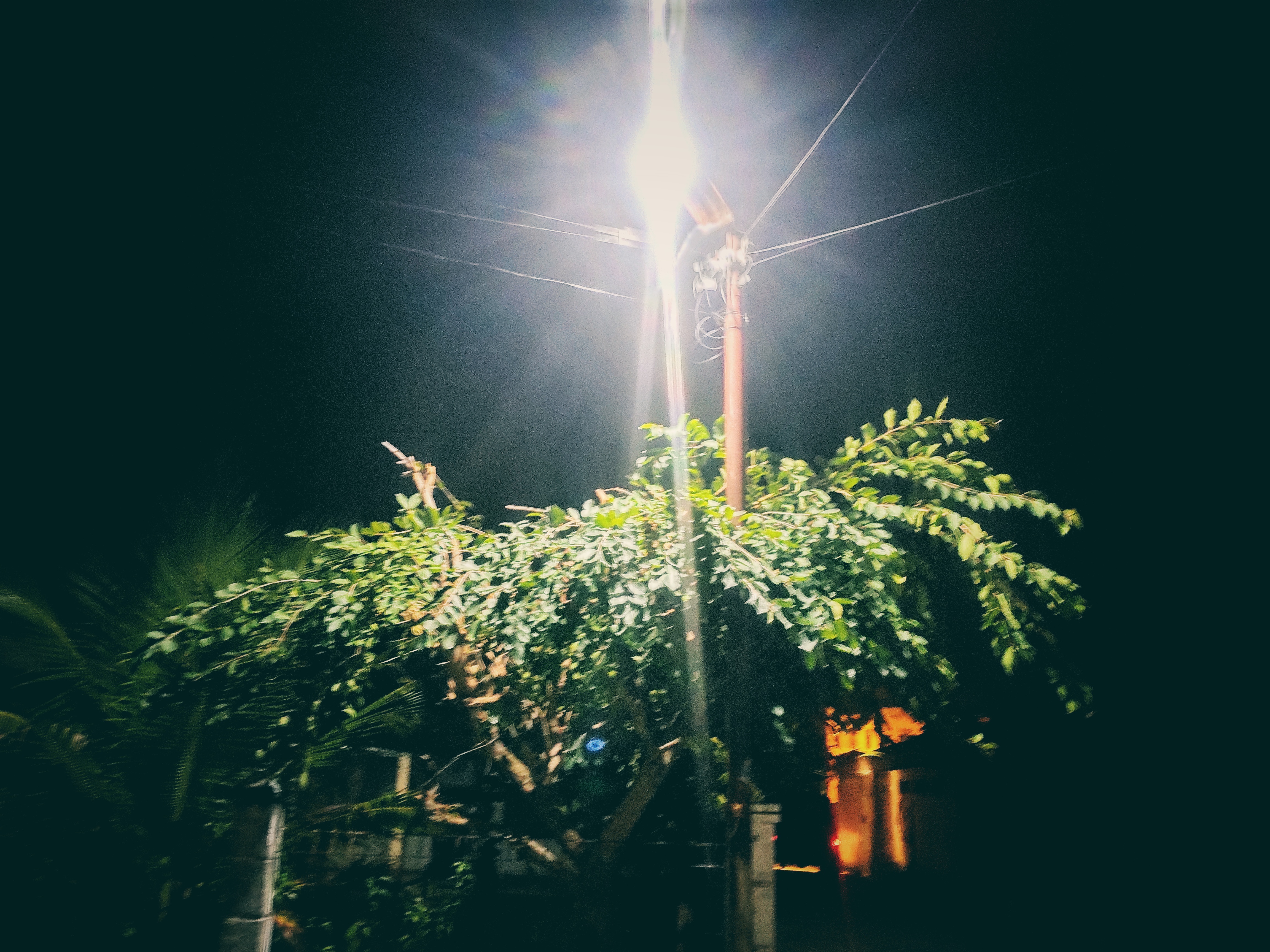IMG_20211027_223539-01.jpeg