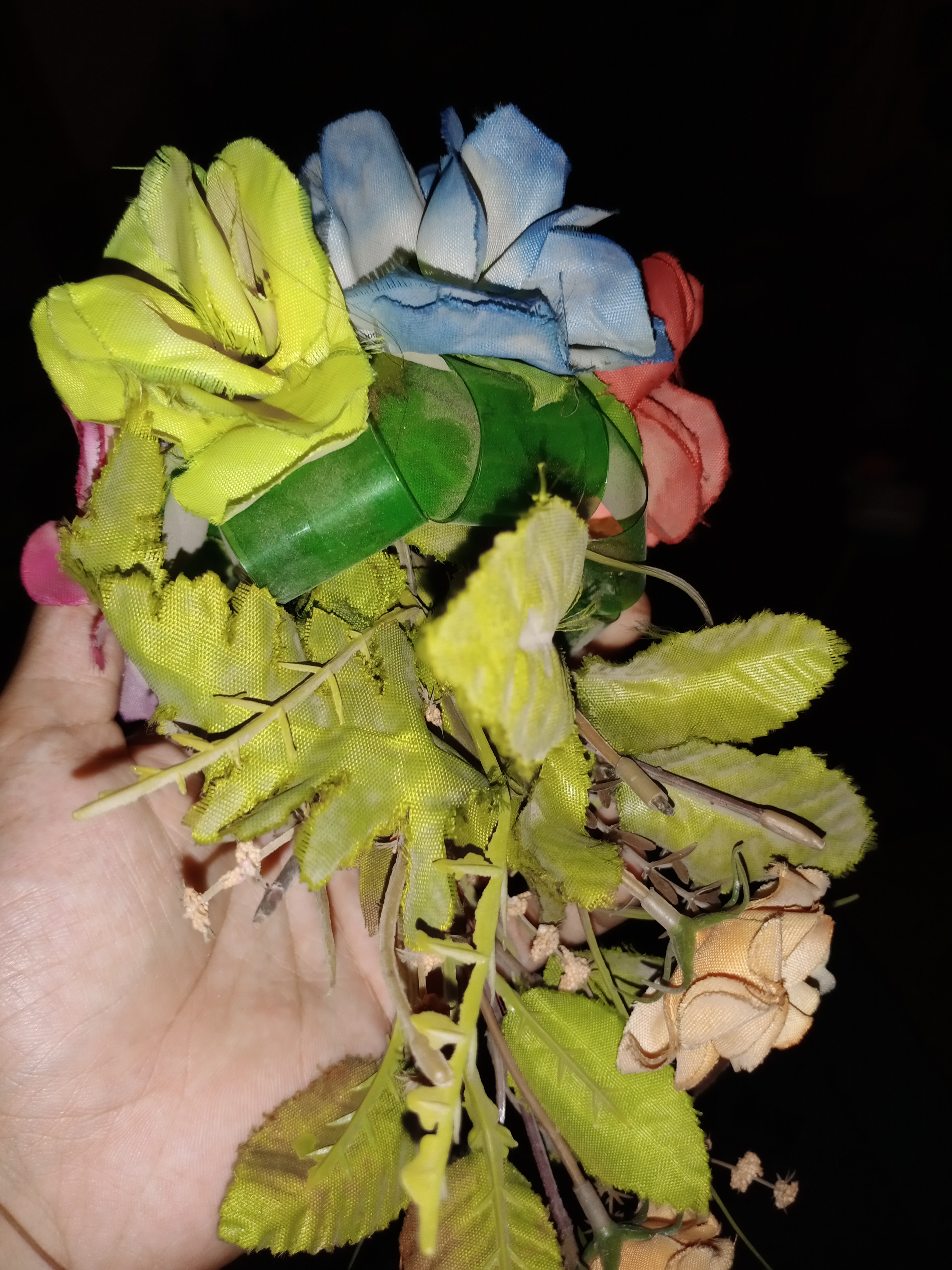 IMG_20210604_170526.jpg