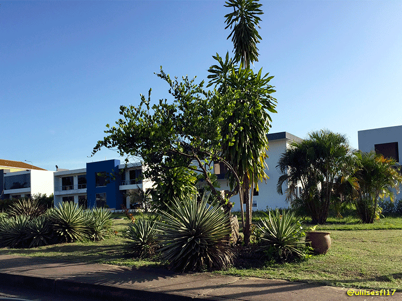 Paseo-aeróbico-6.png