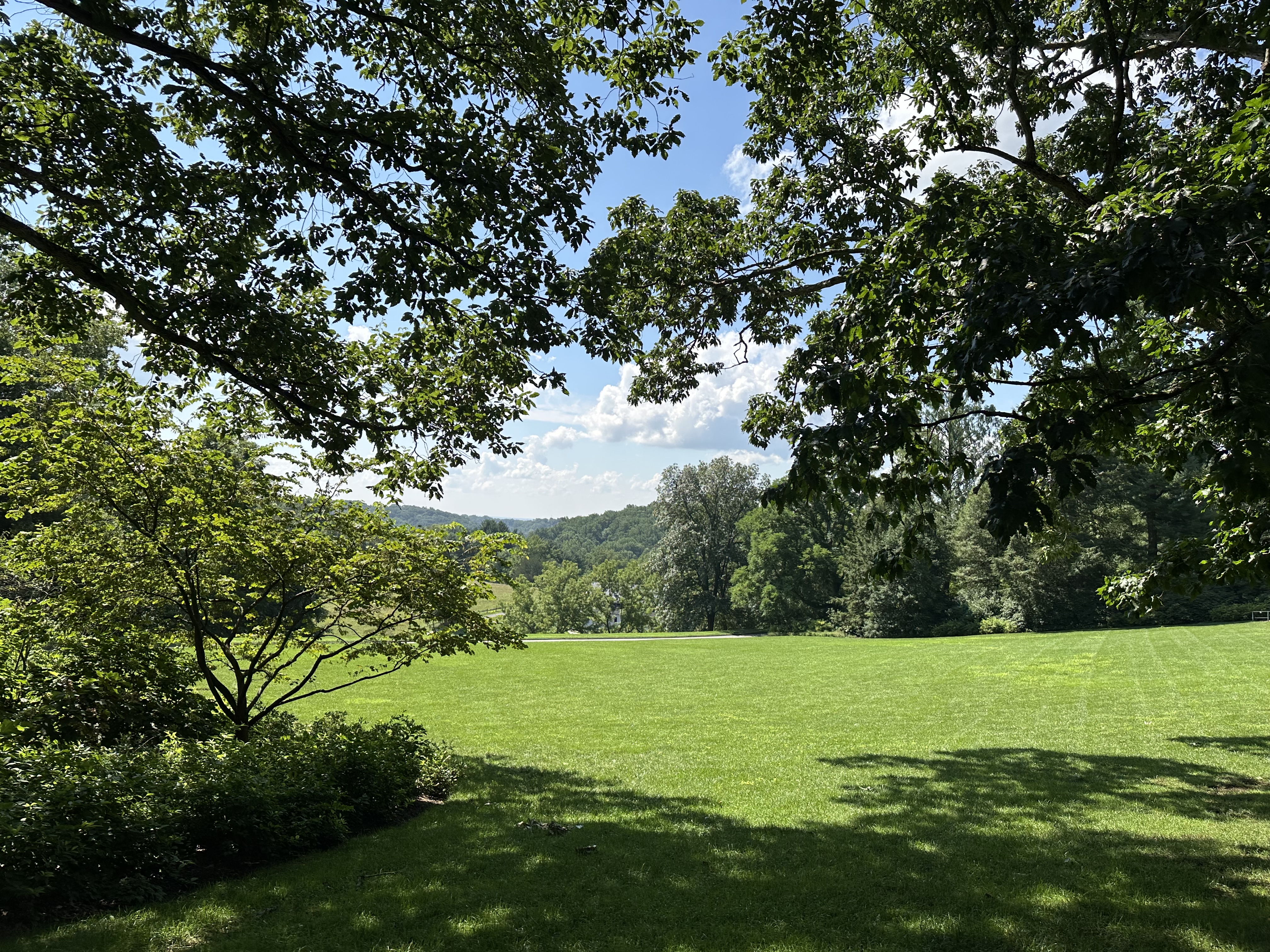 IMG_5561.jpeg